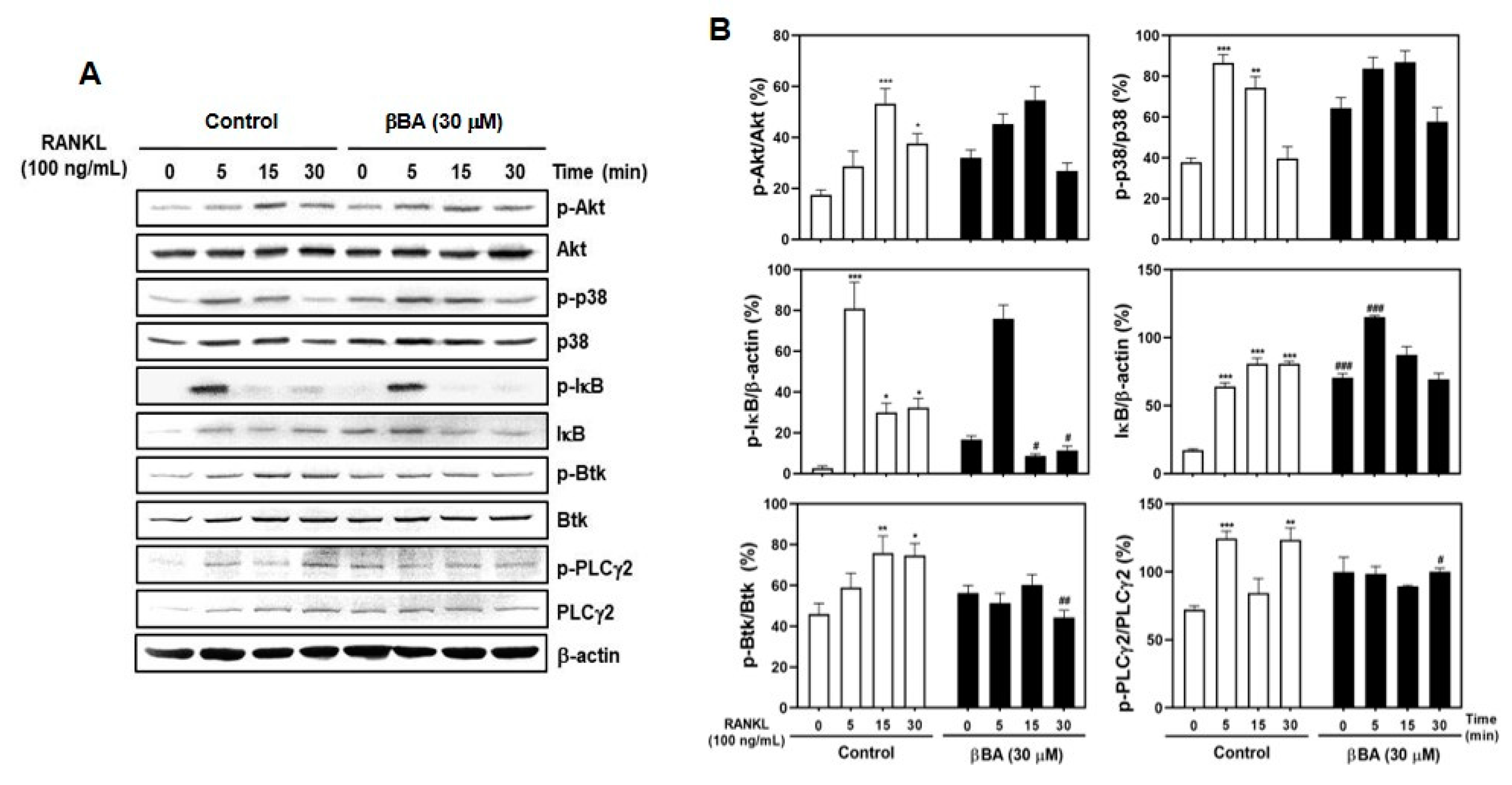 Molecules 26 02665 g003