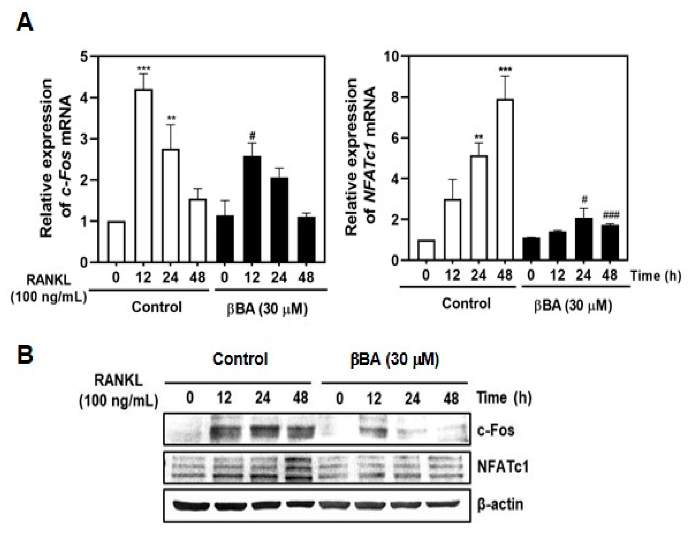 Molecules 26 02665 g004