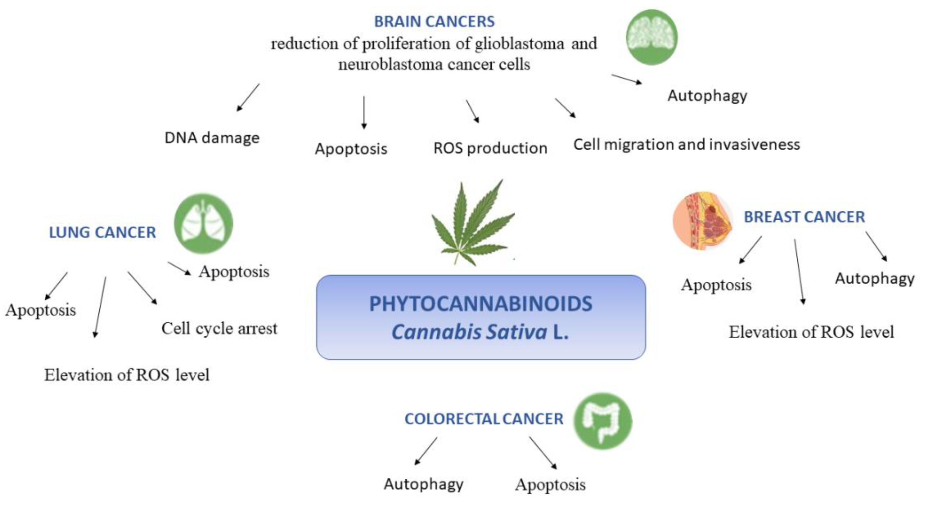 Molecules 26 02668 g004 Molecules 26 02668 g004