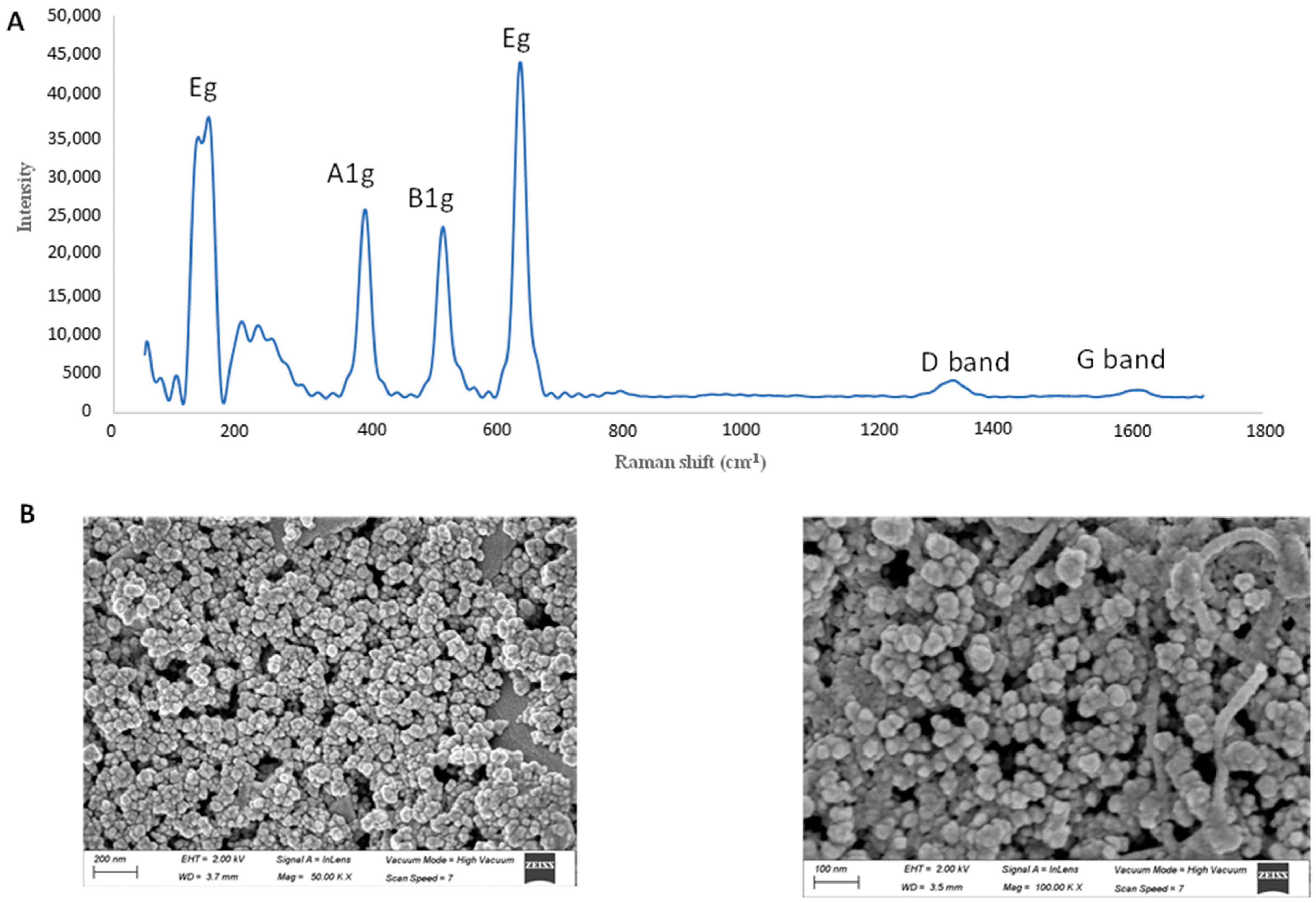 Molecules 26 02670 g001