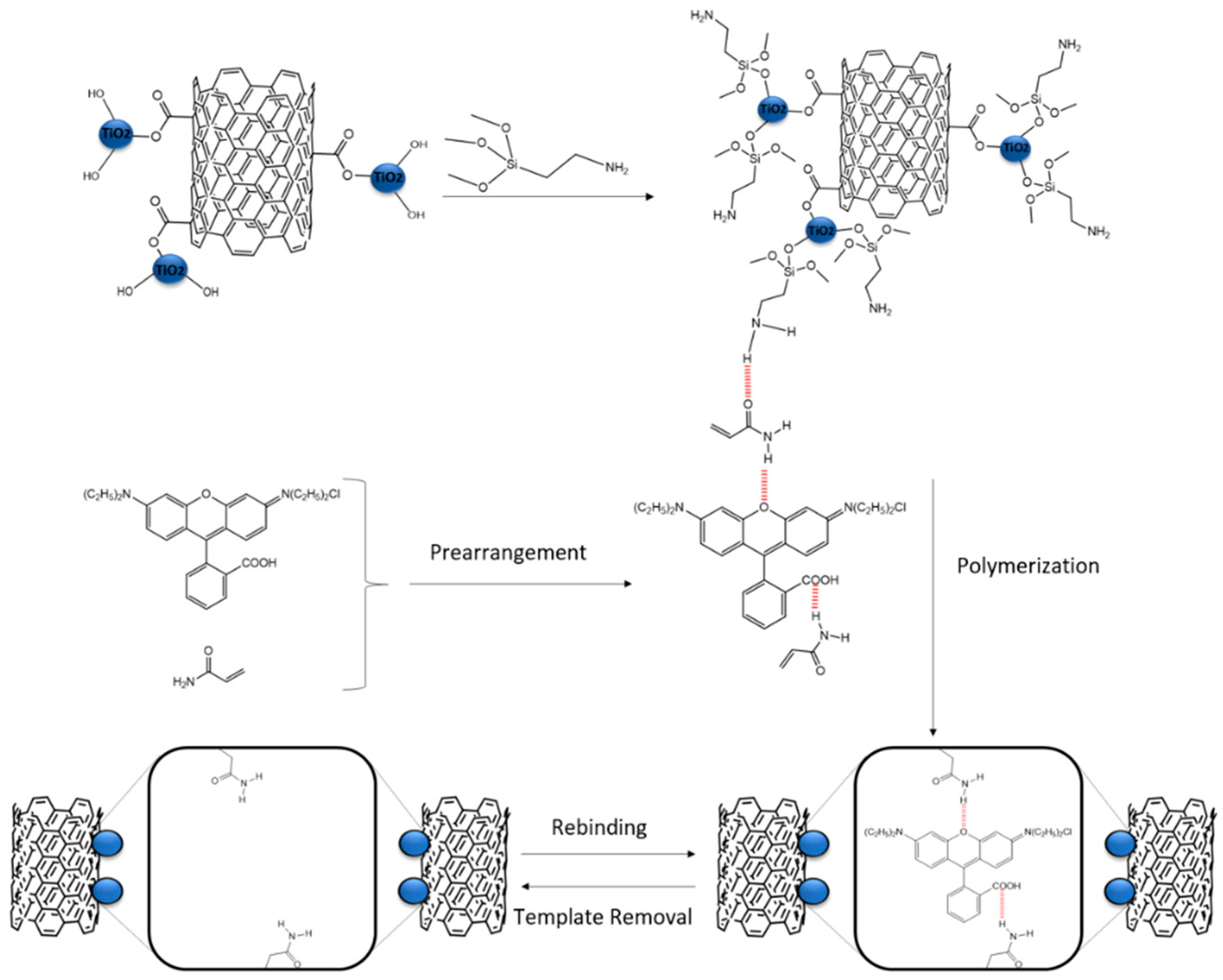 Molecules 26 02670 g006
