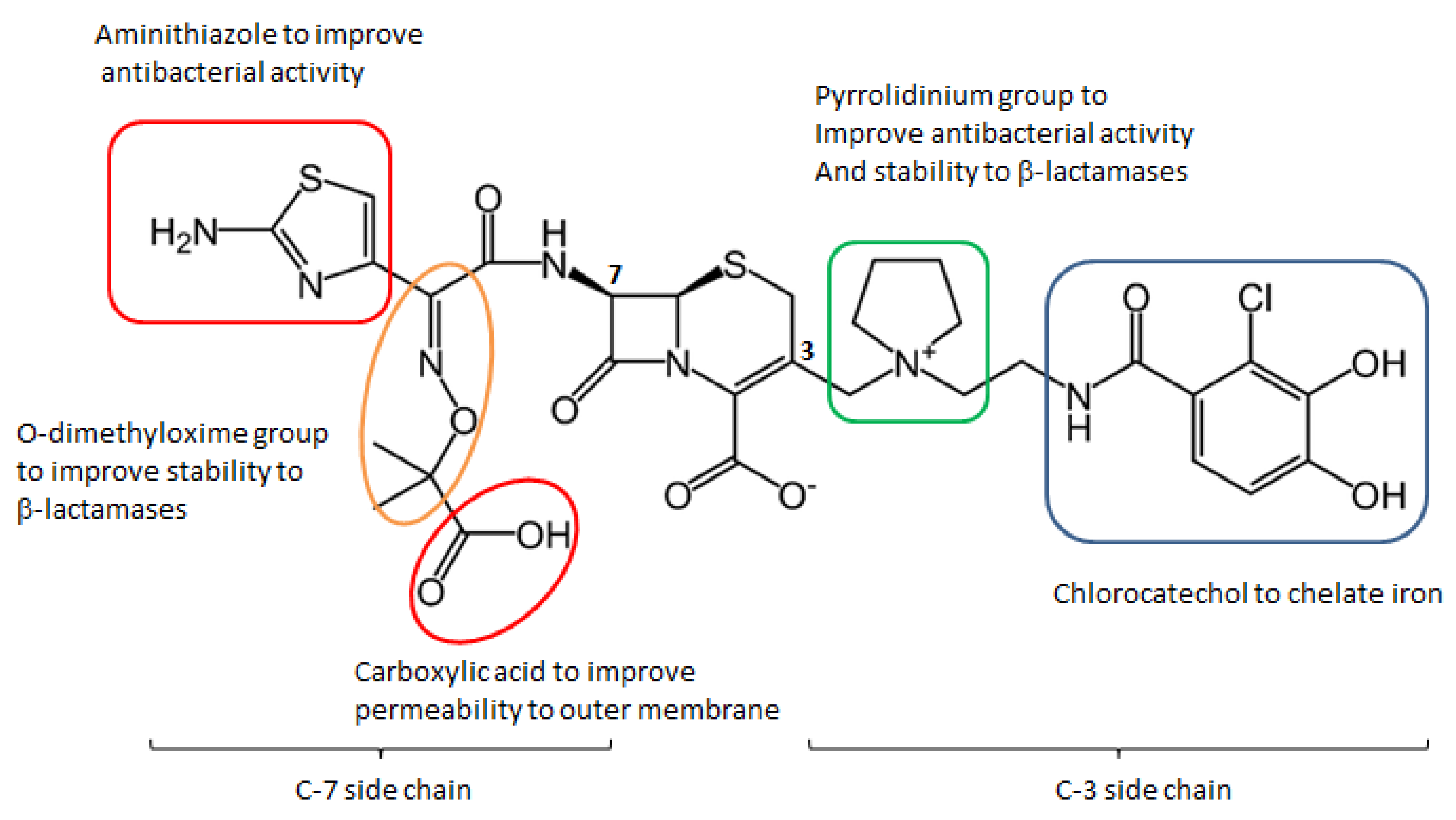 Molecules 26 02671 g010