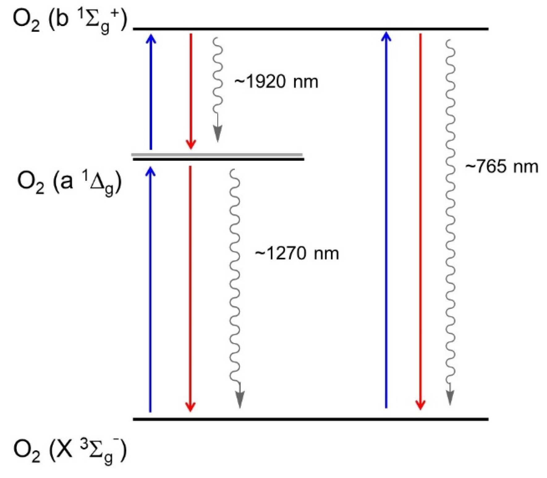 Molecules 26 02673 g004