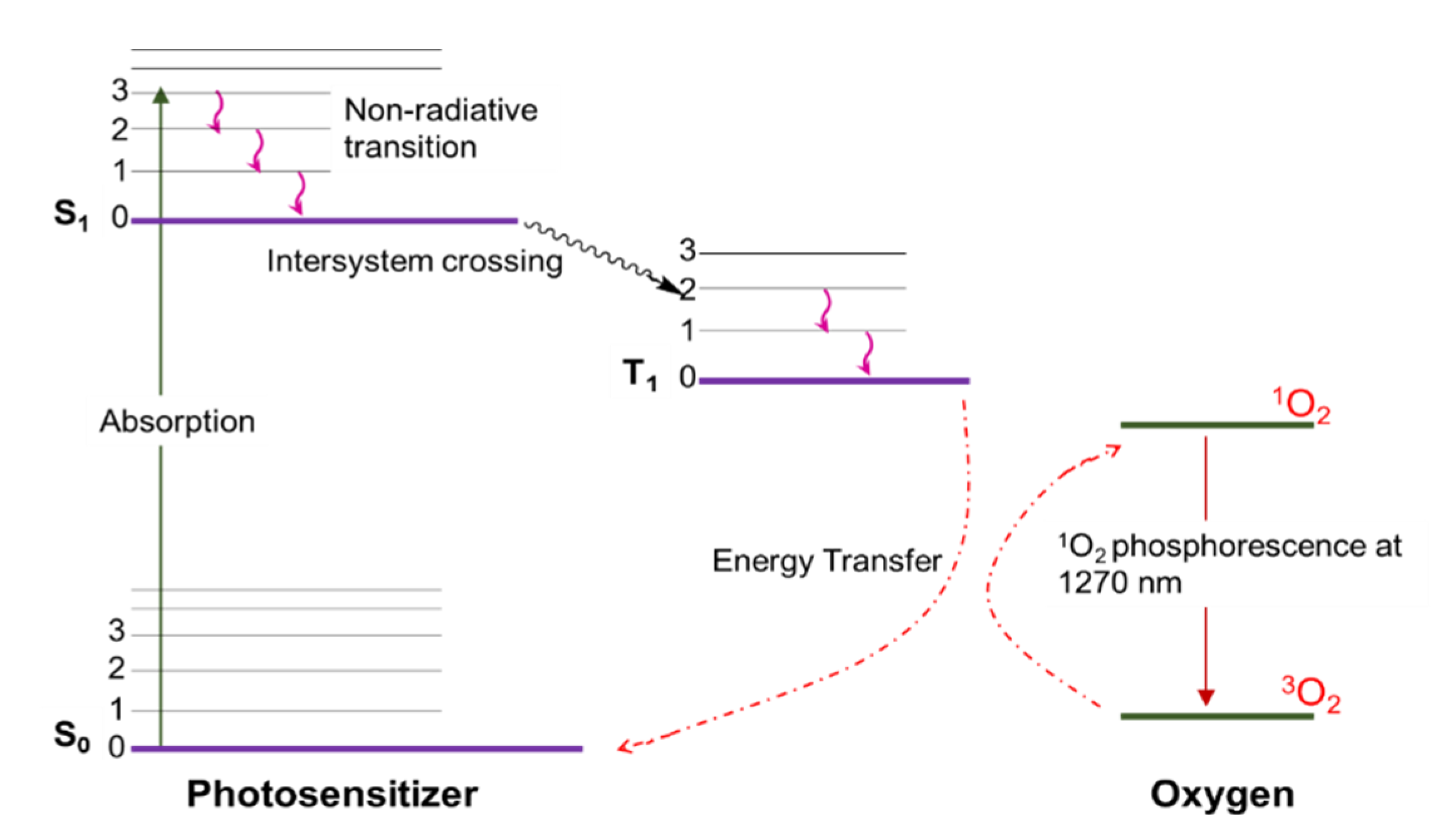 Molecules 26 02673 g005