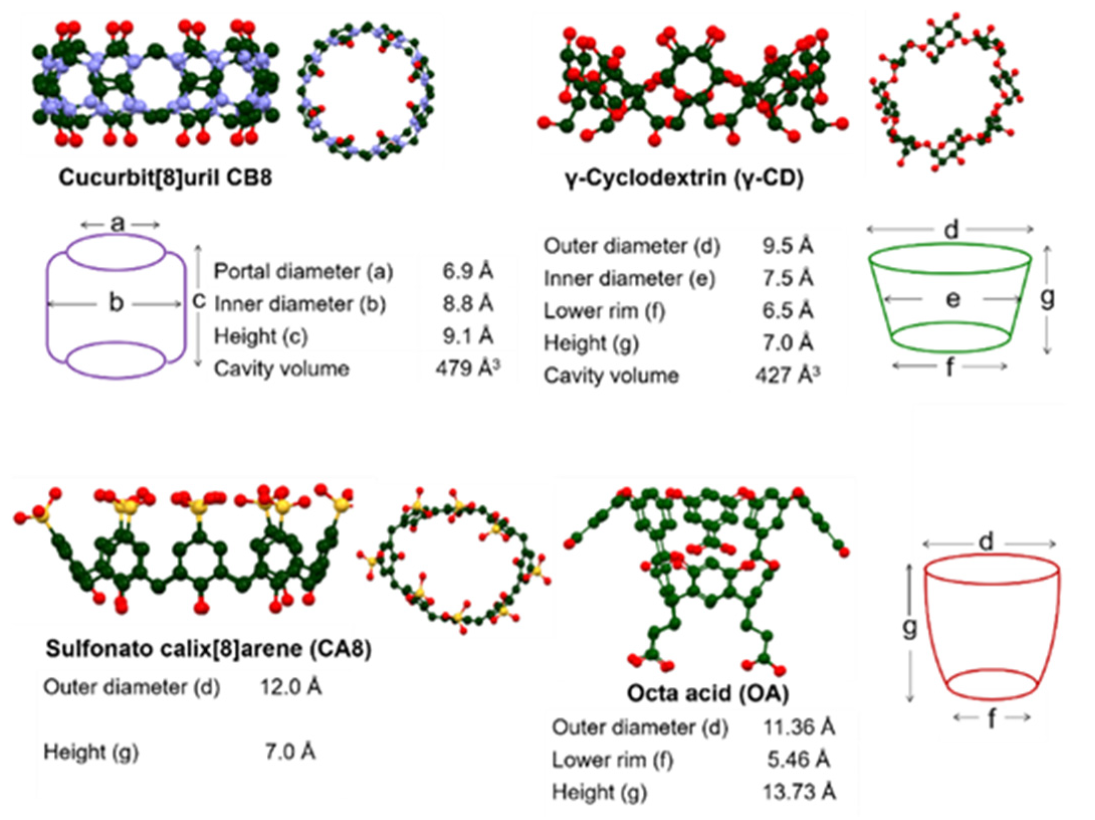 Molecules 26 02673 g007