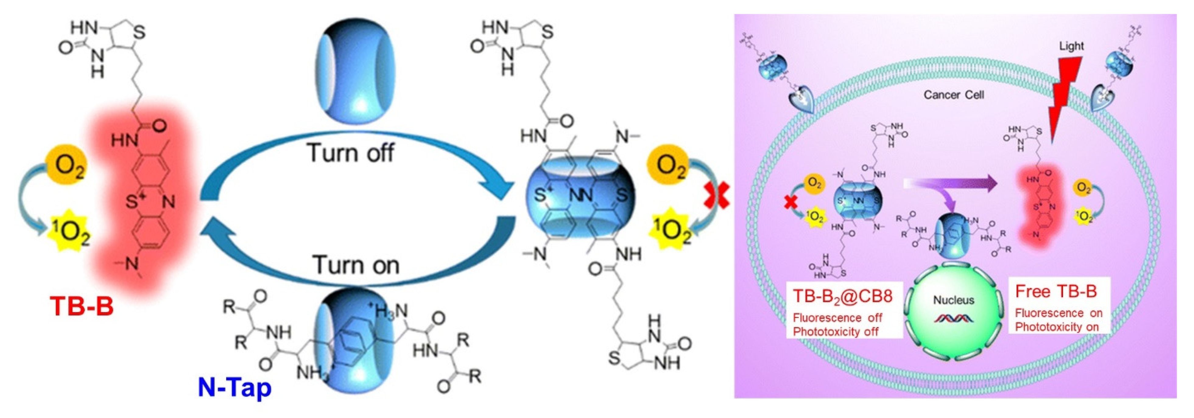 Molecules 26 02673 g008