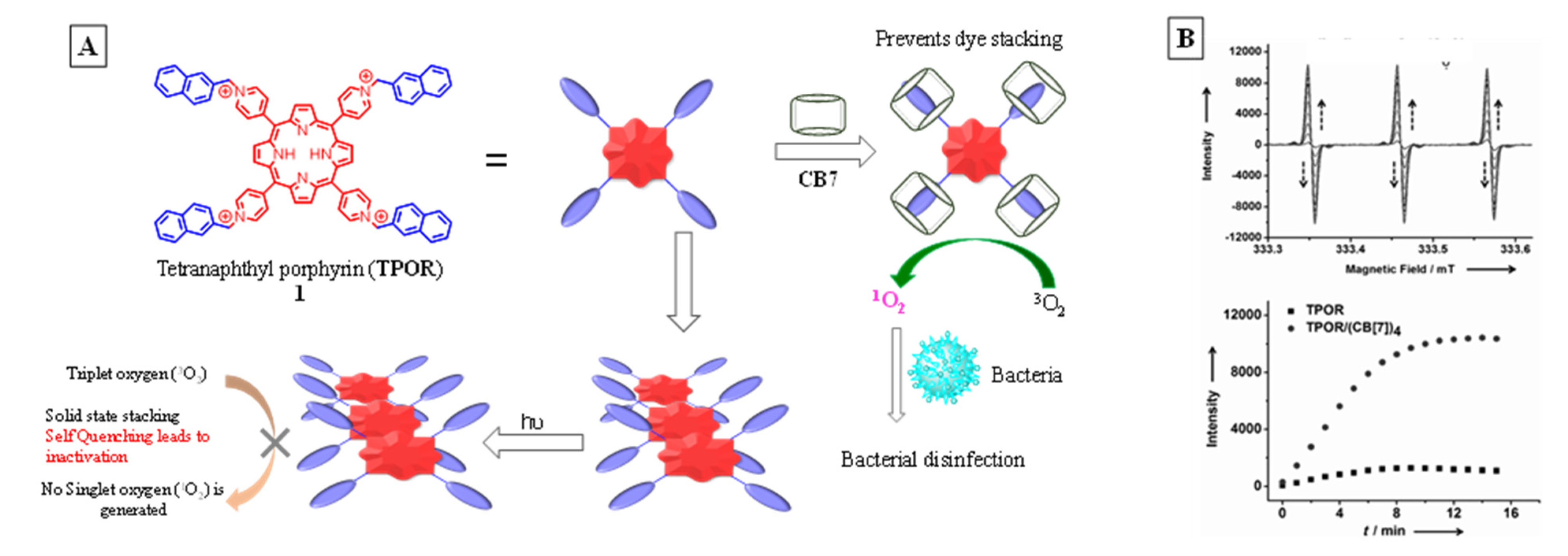 Molecules 26 02673 g013