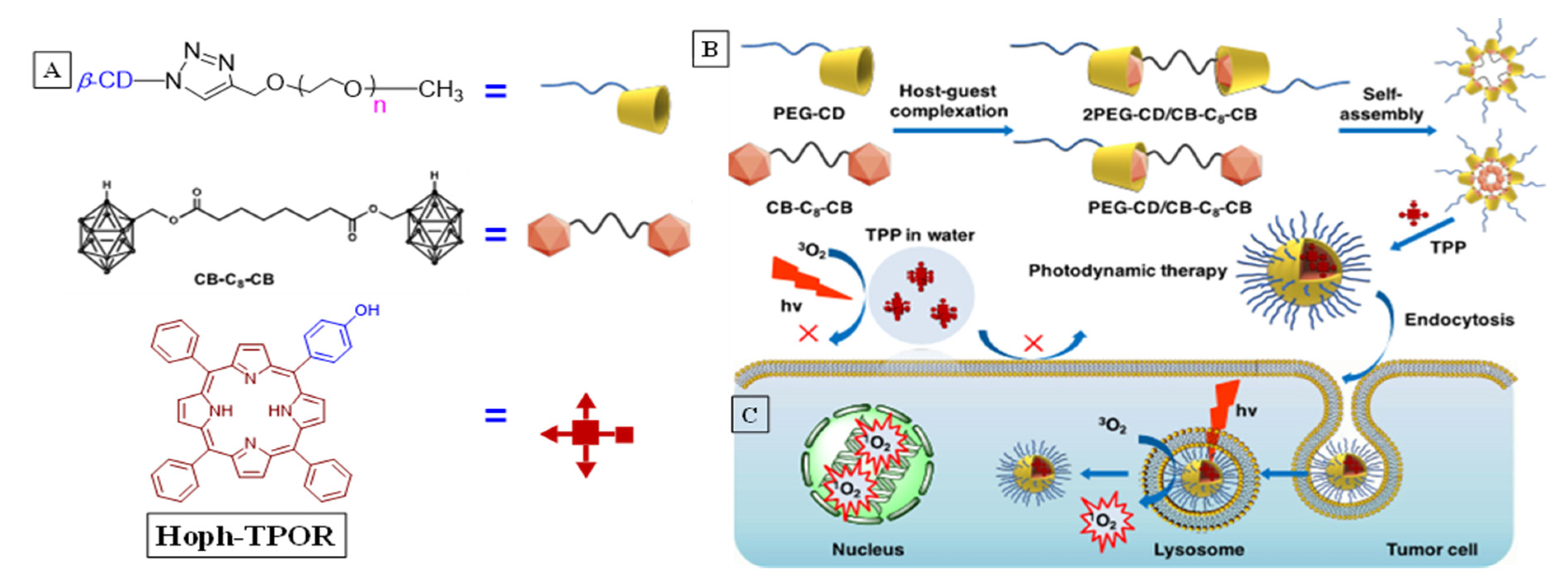 Molecules 26 02673 g017