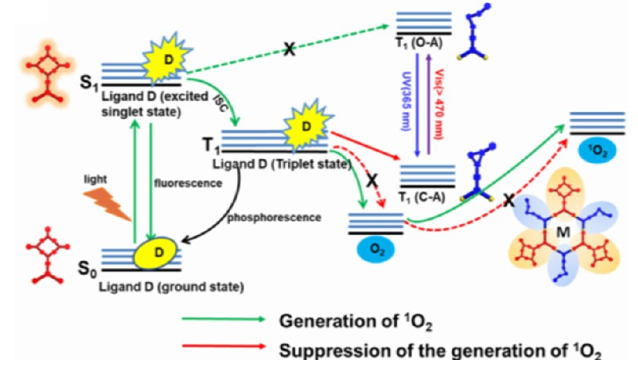 Molecules 26 02673 g019