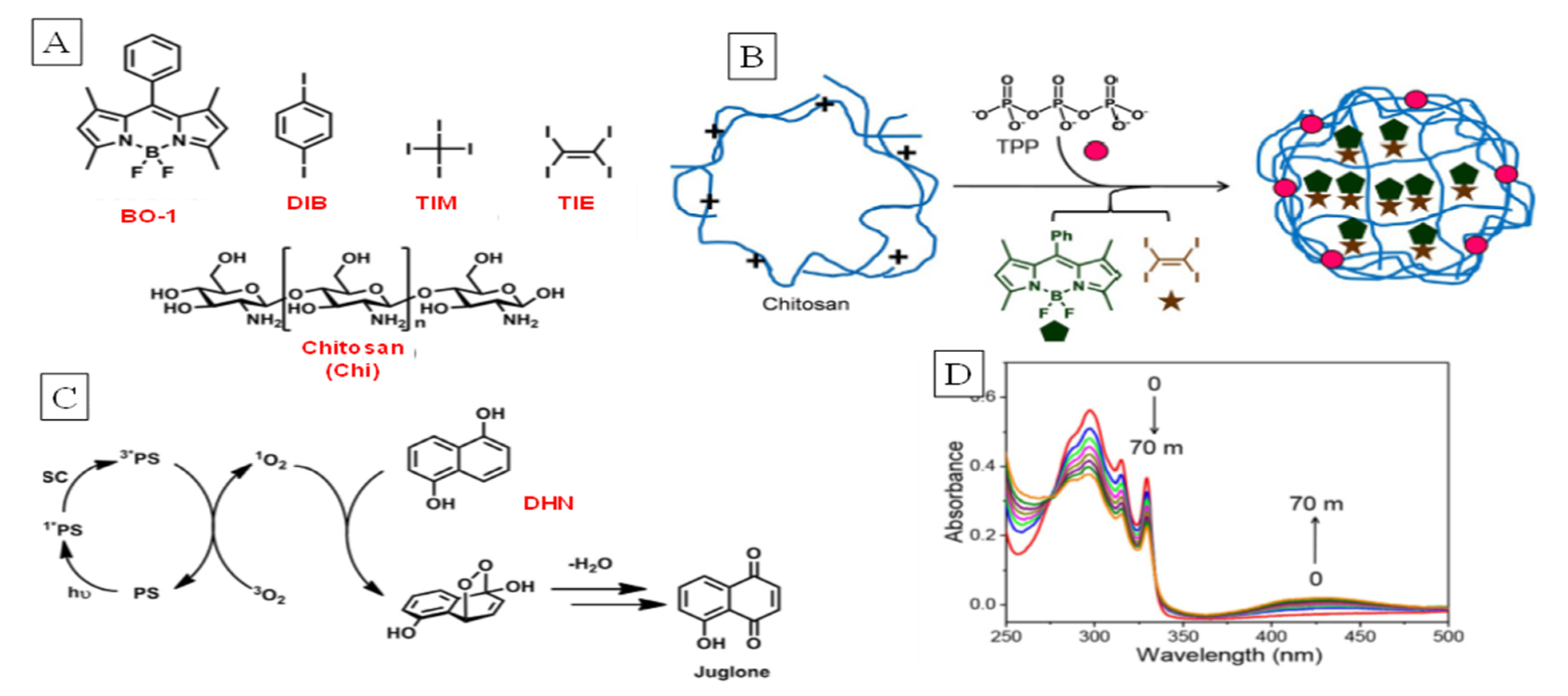 Molecules 26 02673 g024