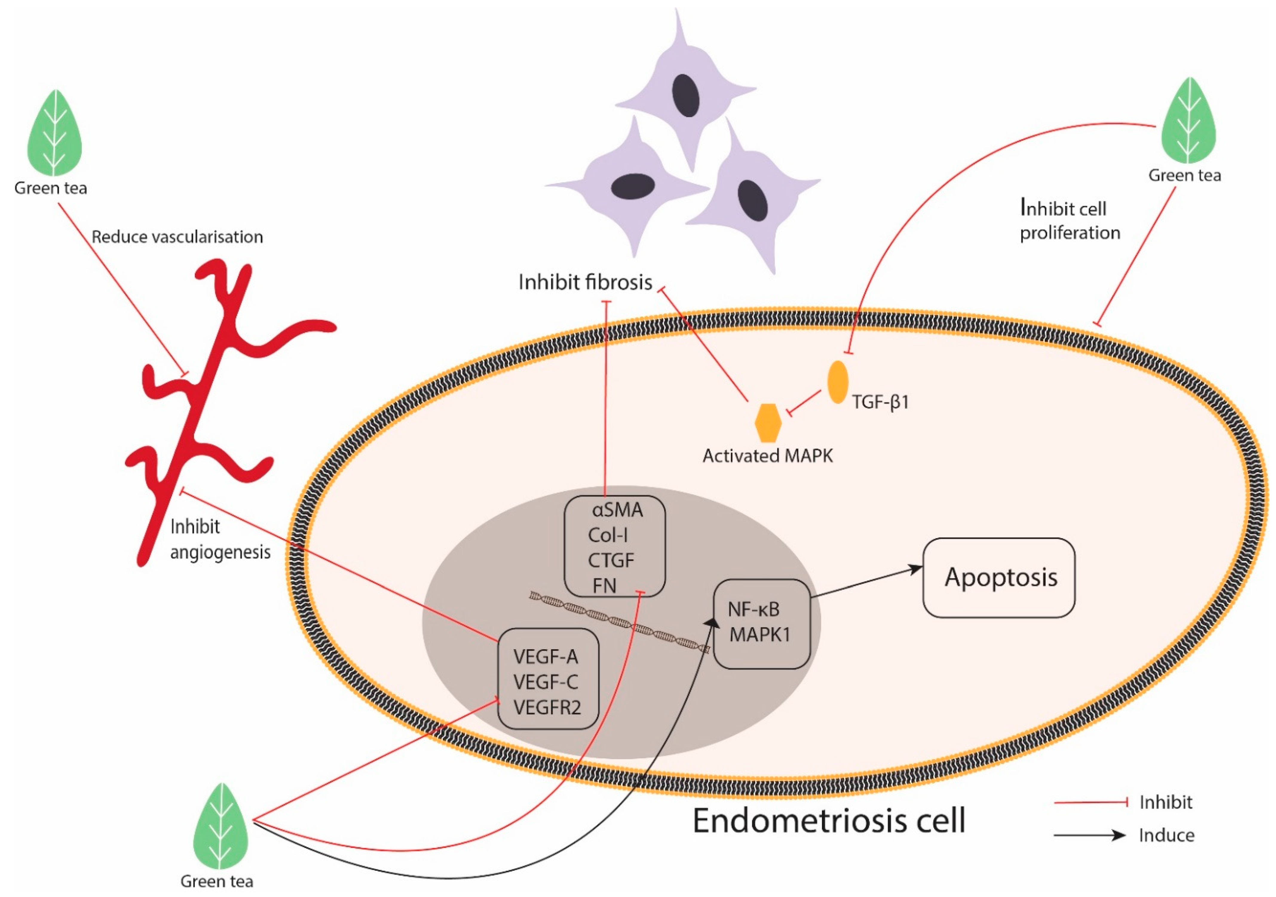 Molecules 26 02675 g002