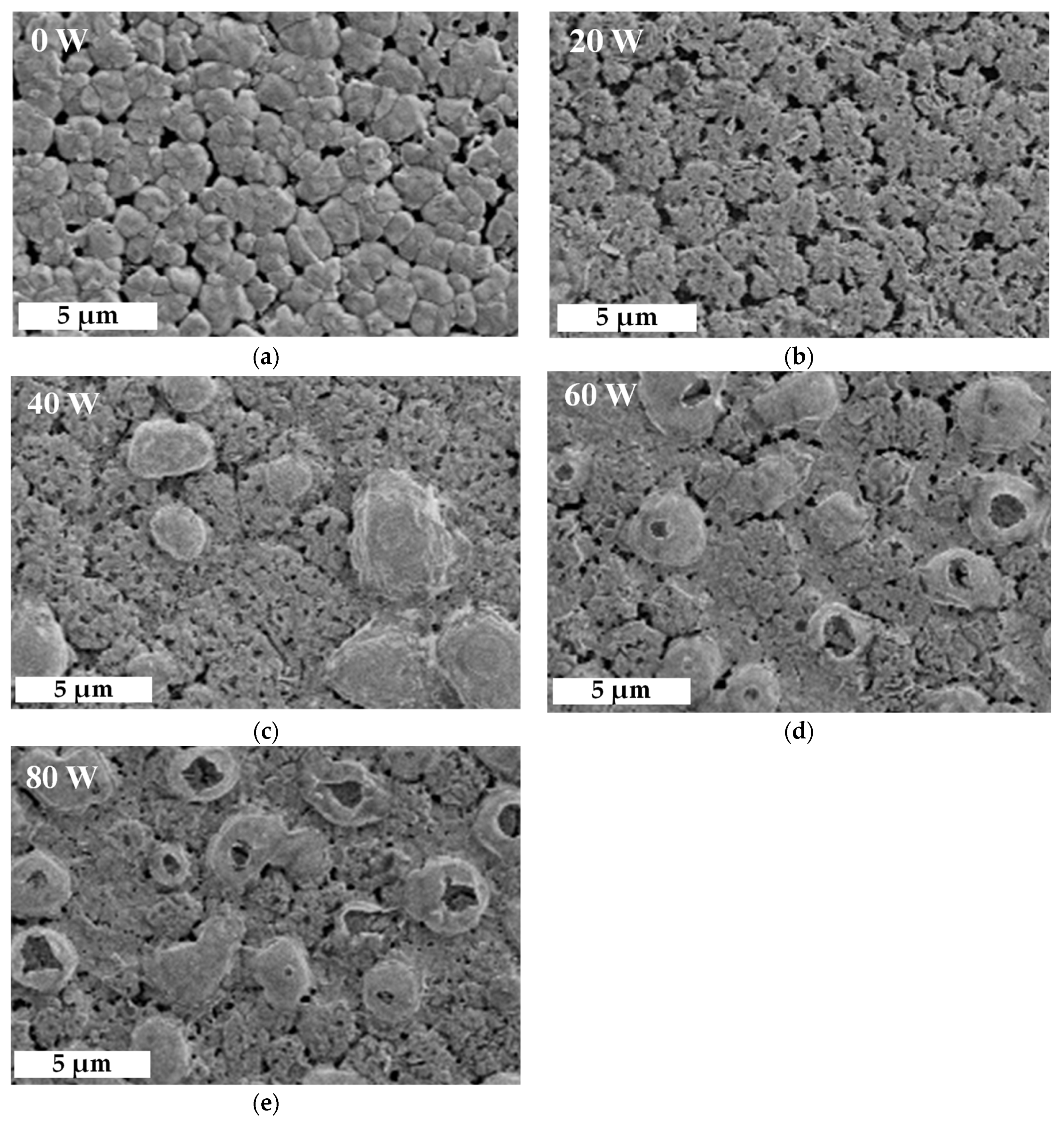 Molecules 26 02678 g004