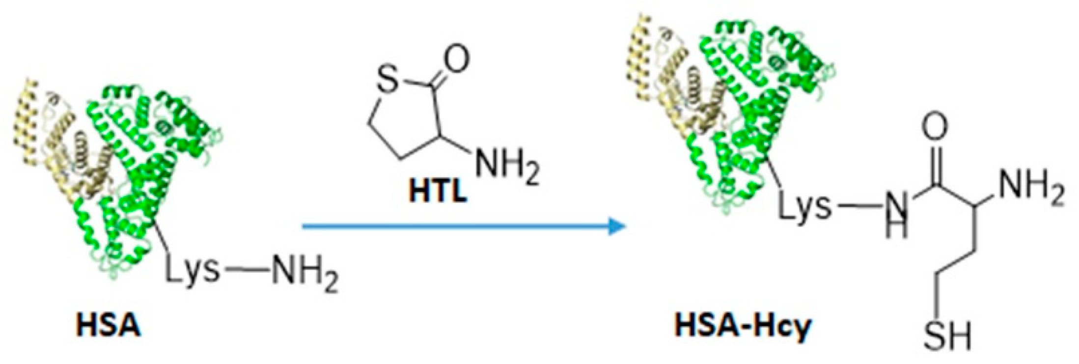 Molecules 26 02679 sch004