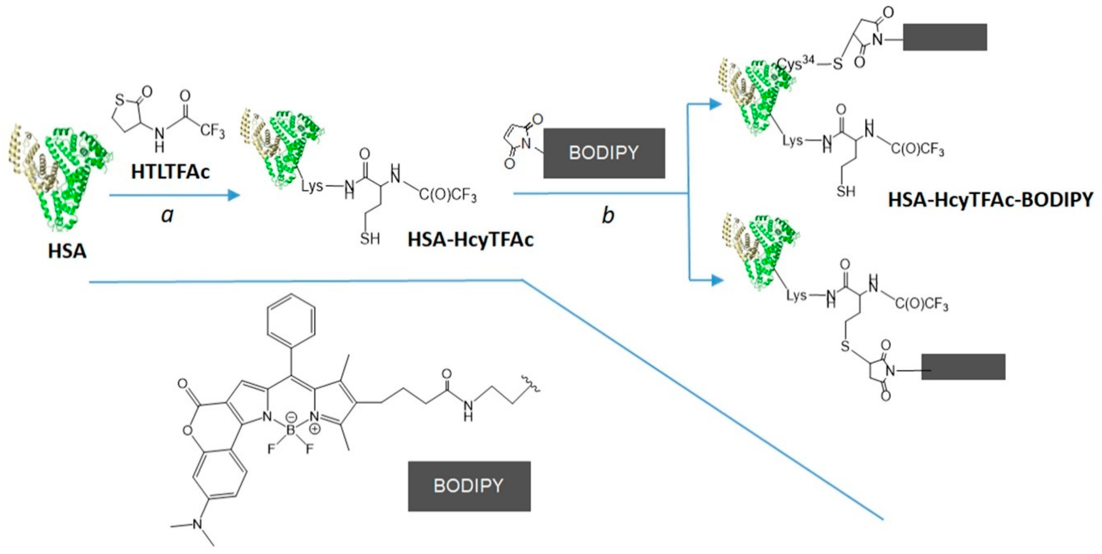 Molecules 26 02679 sch005