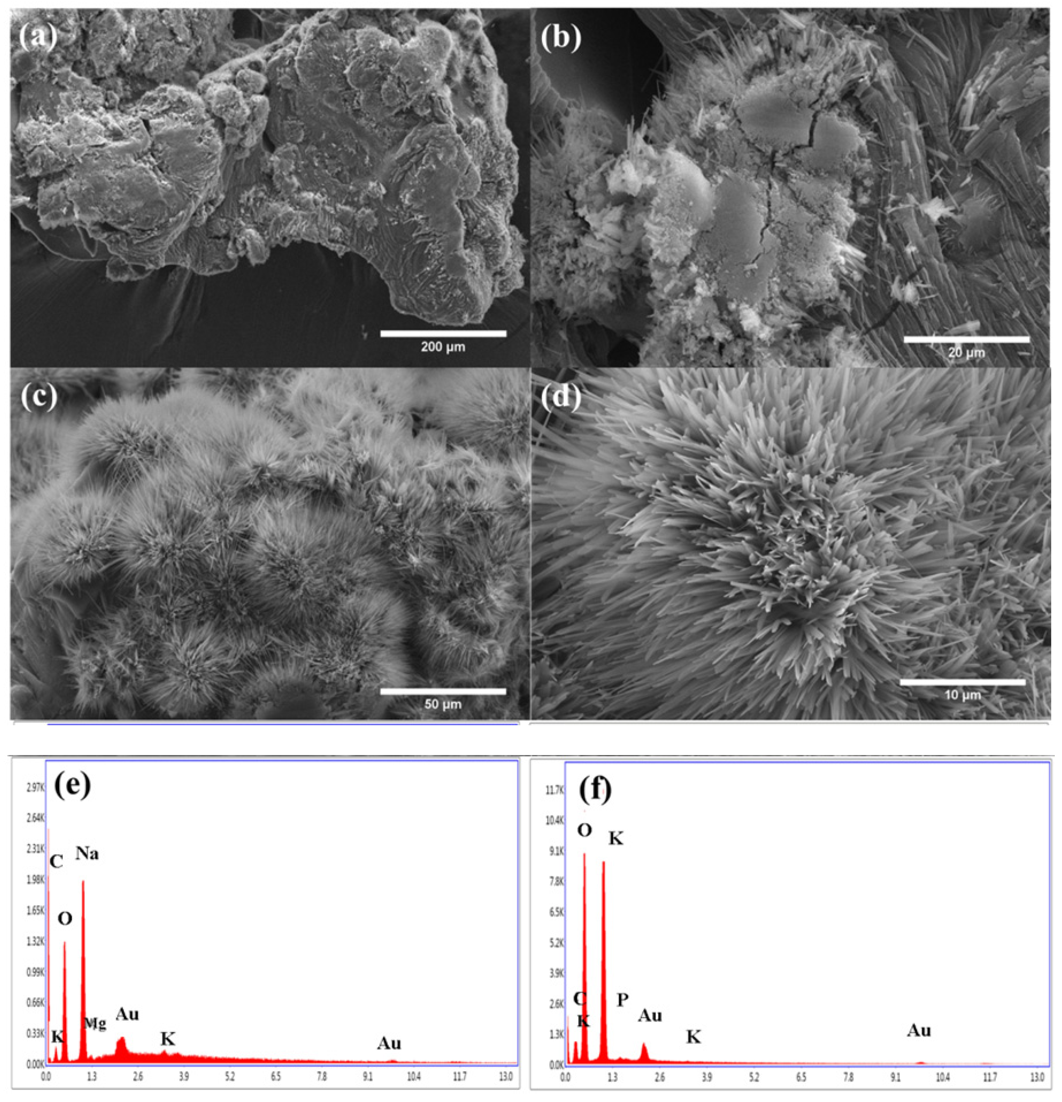 Molecules 26 02680 g003
