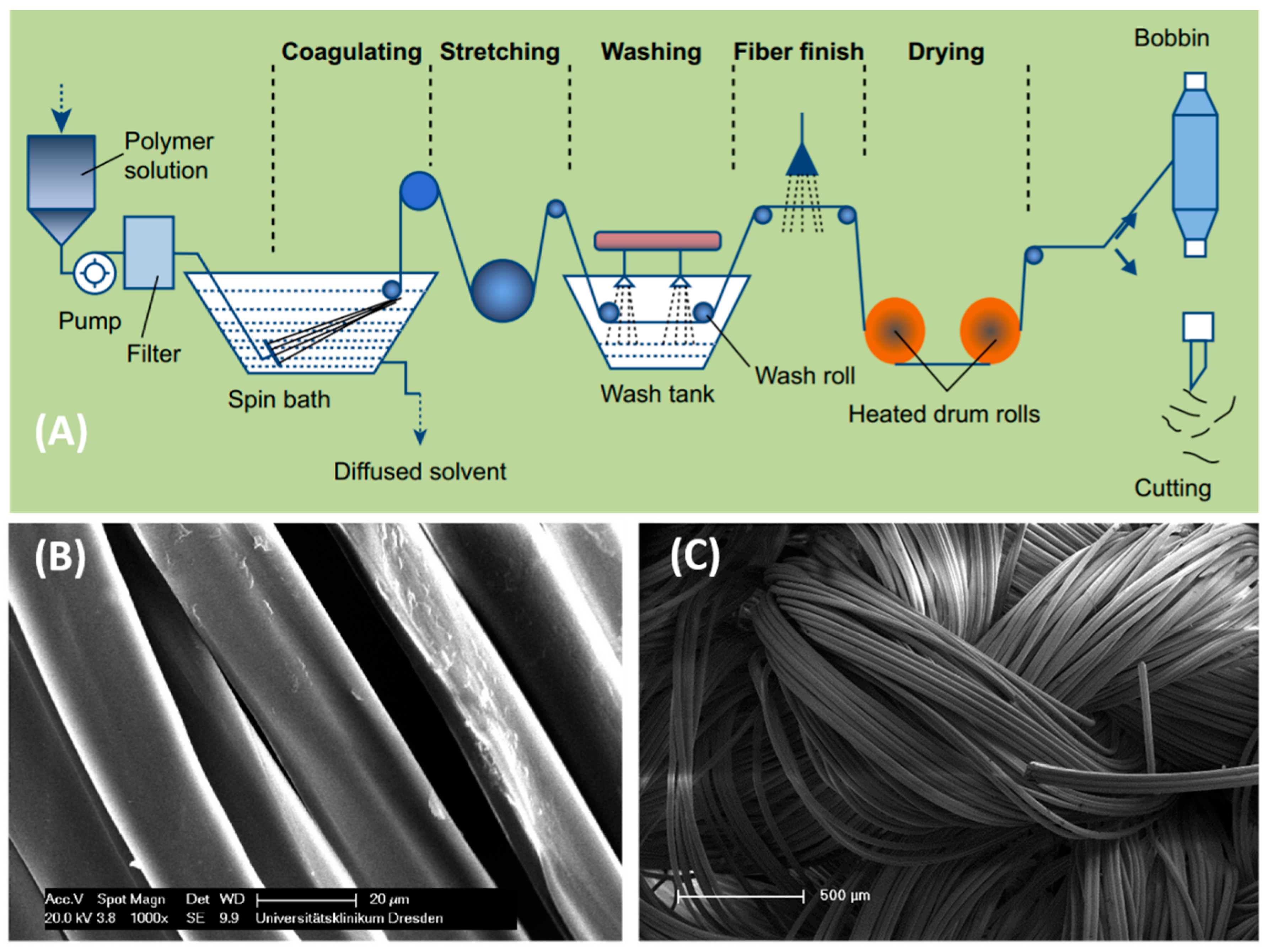 Molecules 26 02683 g003 Molecules 26 02683 g003