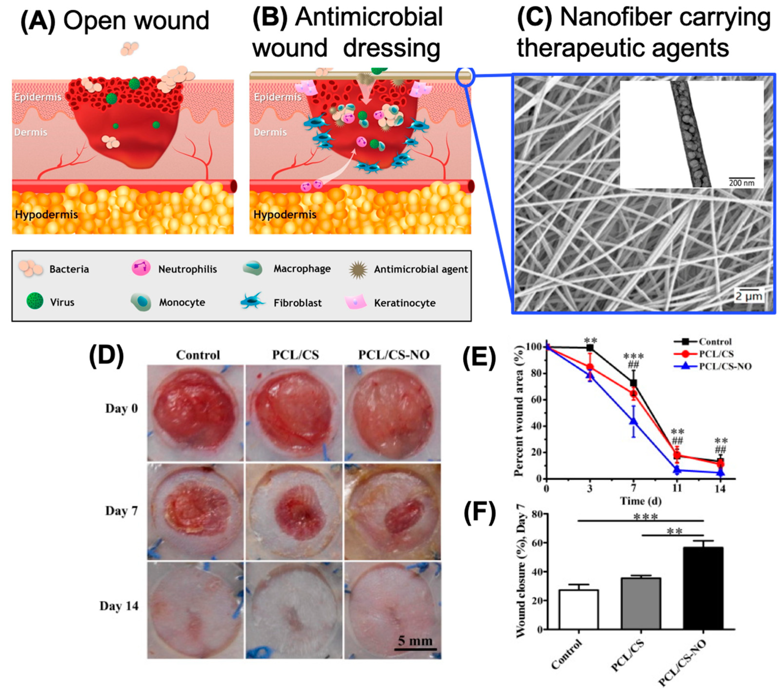 Molecules 26 02683 g006 Molecules 26 02683 g006