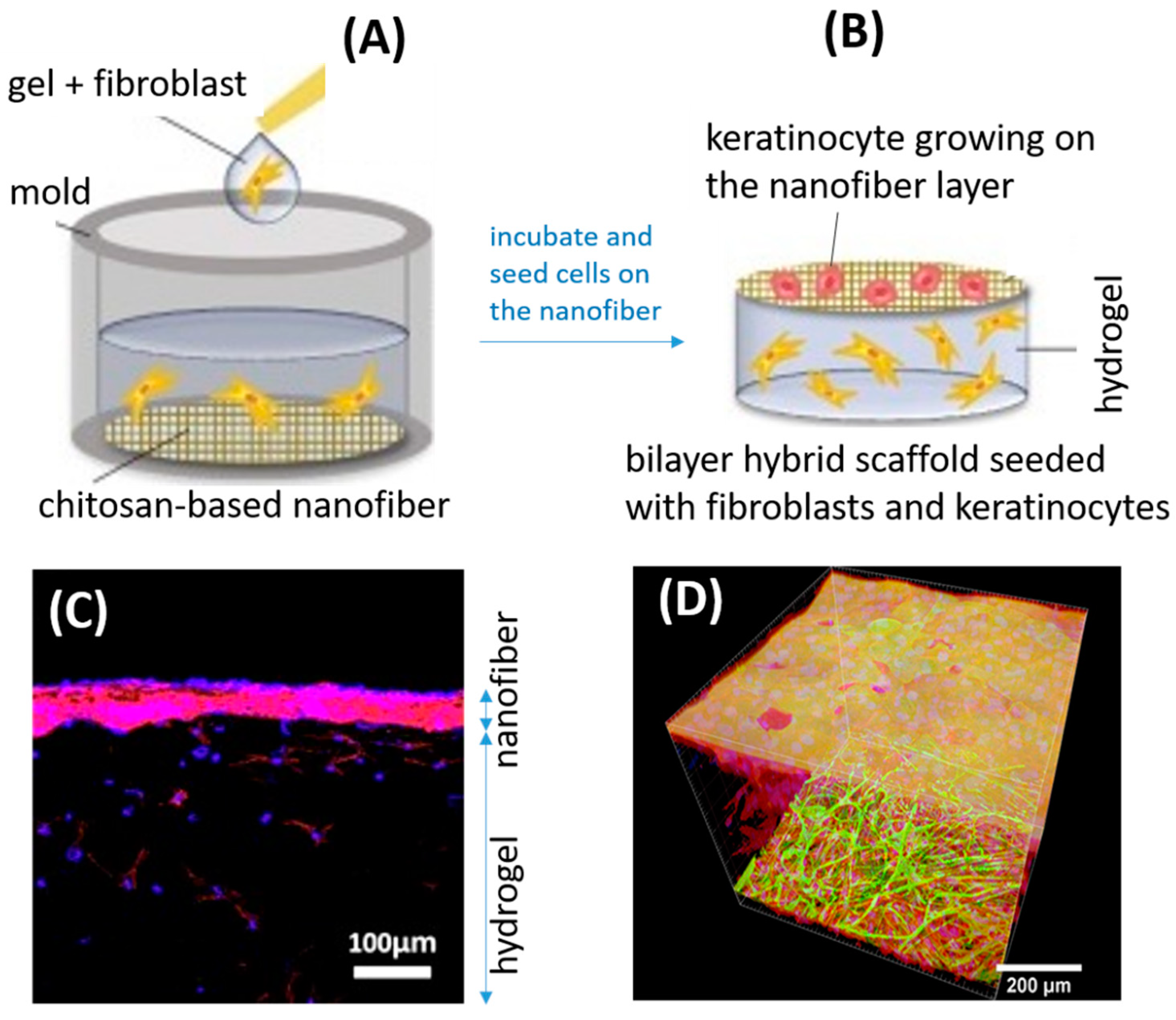 Molecules 26 02683 g007 Molecules 26 02683 g007