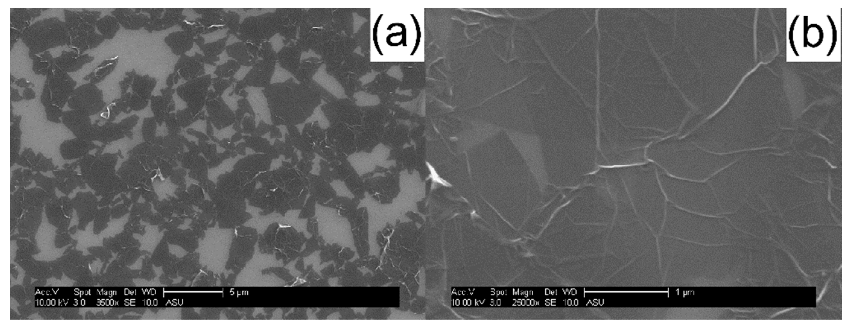 Molecules 26 02686 g005 Molecules 26 02686 g005