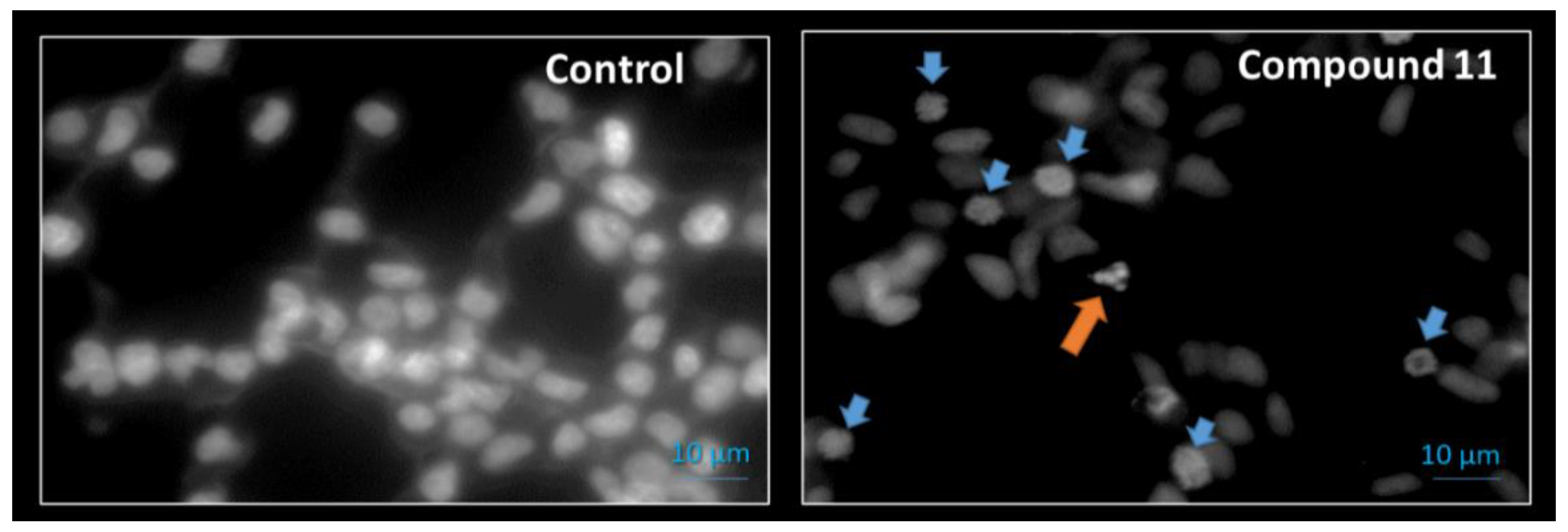 Molecules 26 02687 g006
