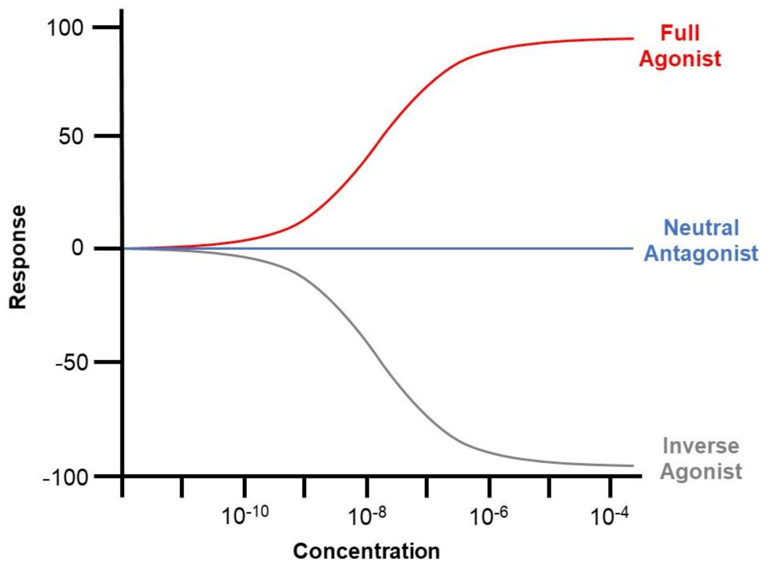 Gas/Liquid Chromatography–Mass Spectrometry Analysis of Key