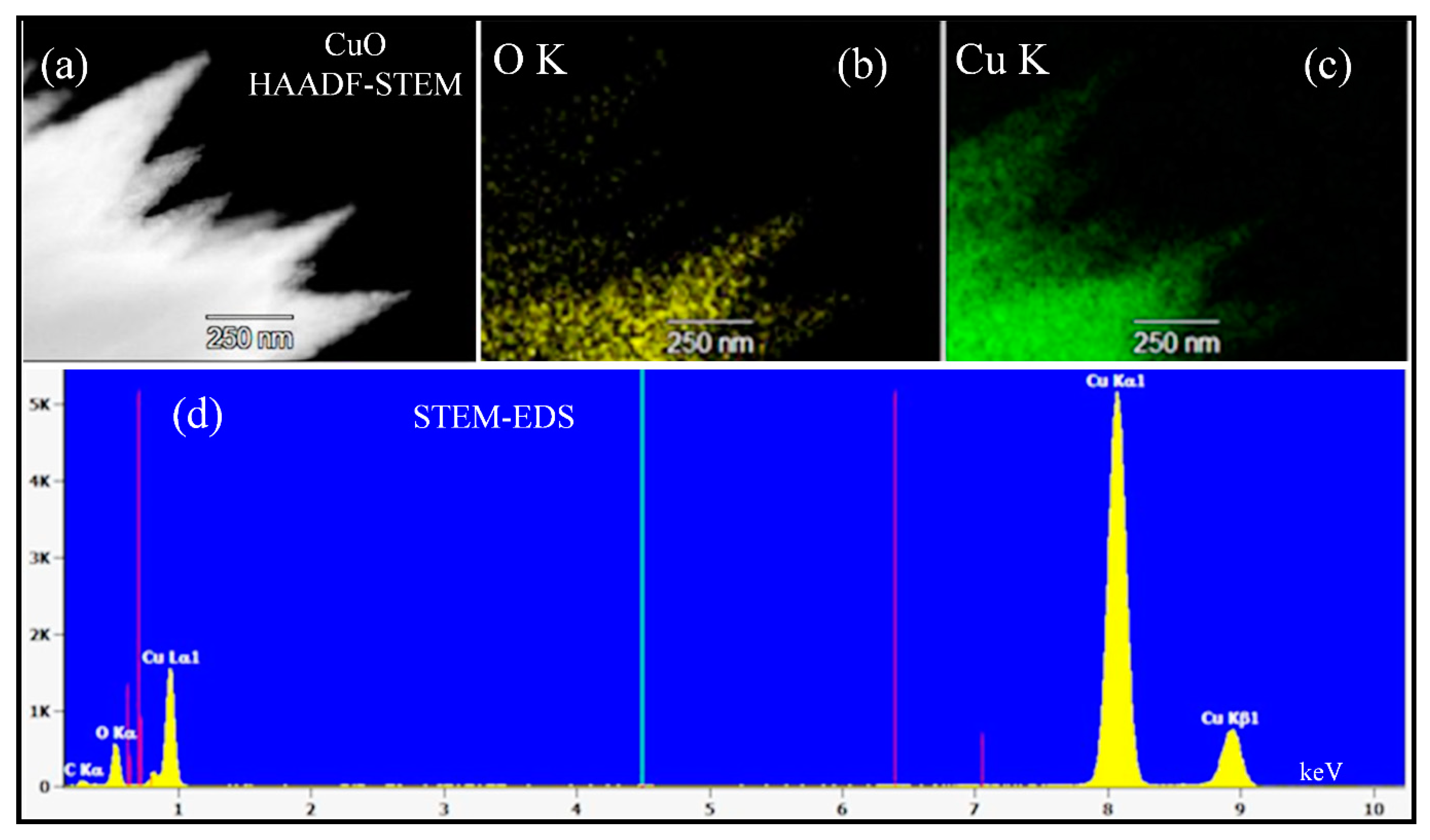 Molecules 26 02700 g005