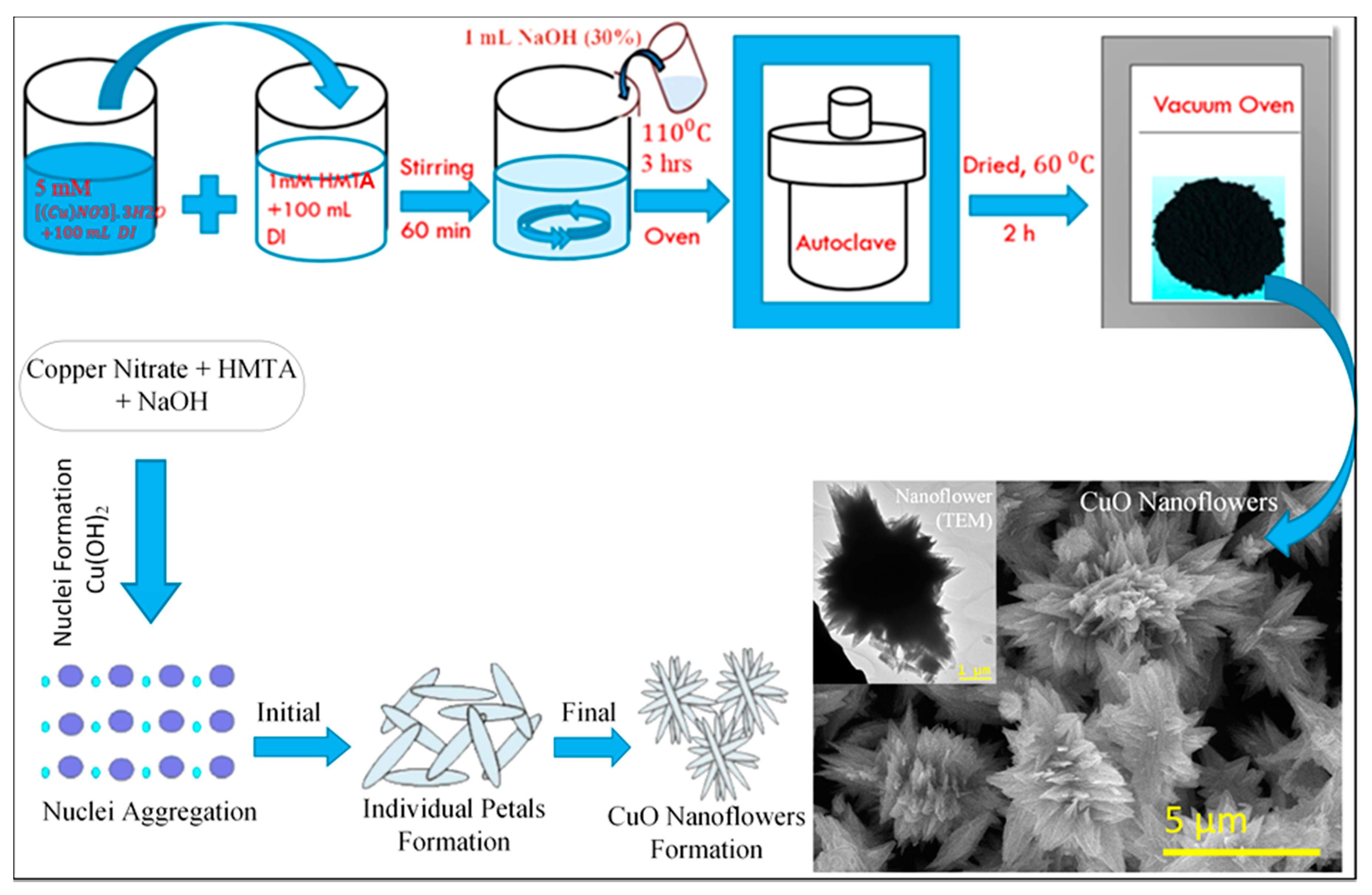 Molecules 26 02700 sch001