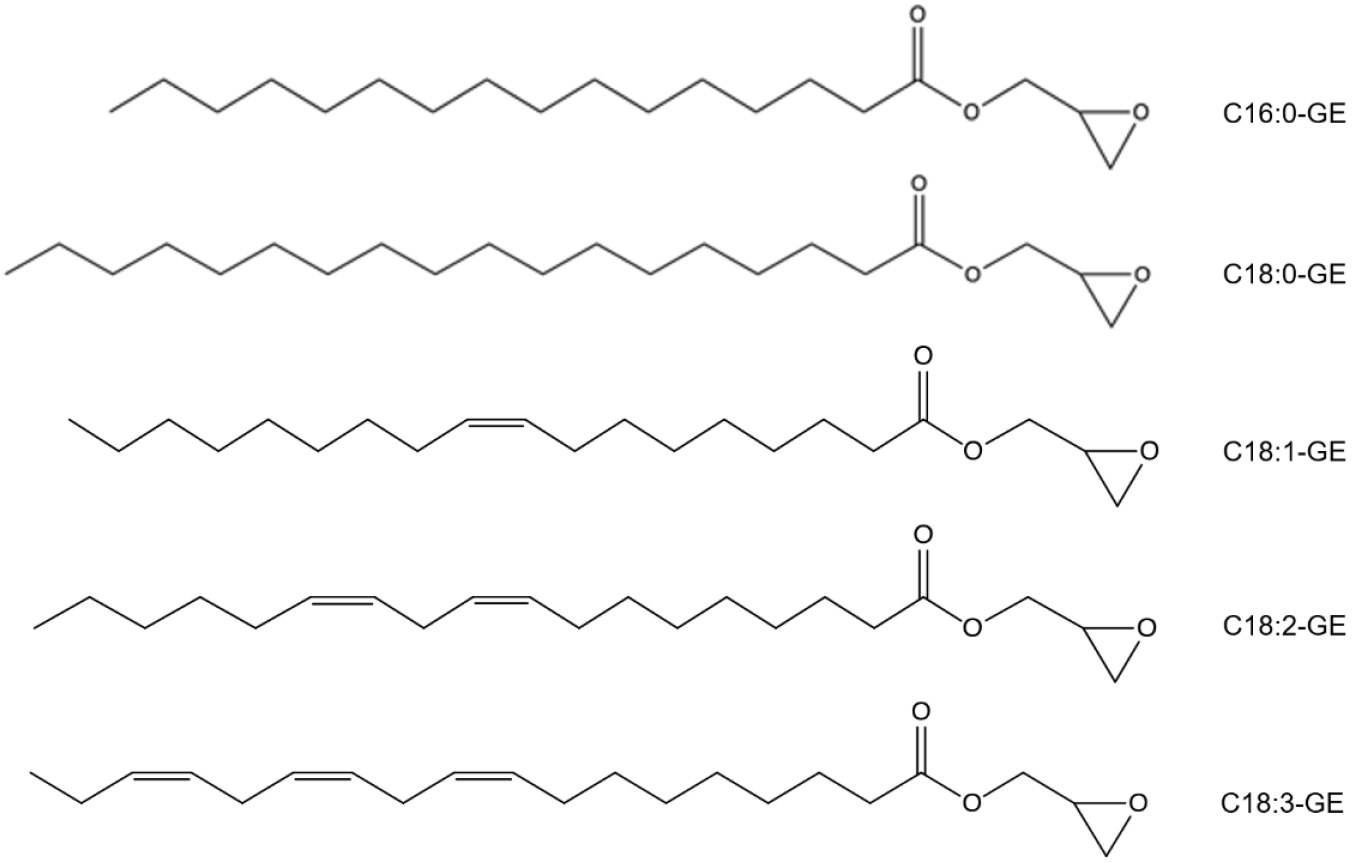 Molecules 26 02702 g001