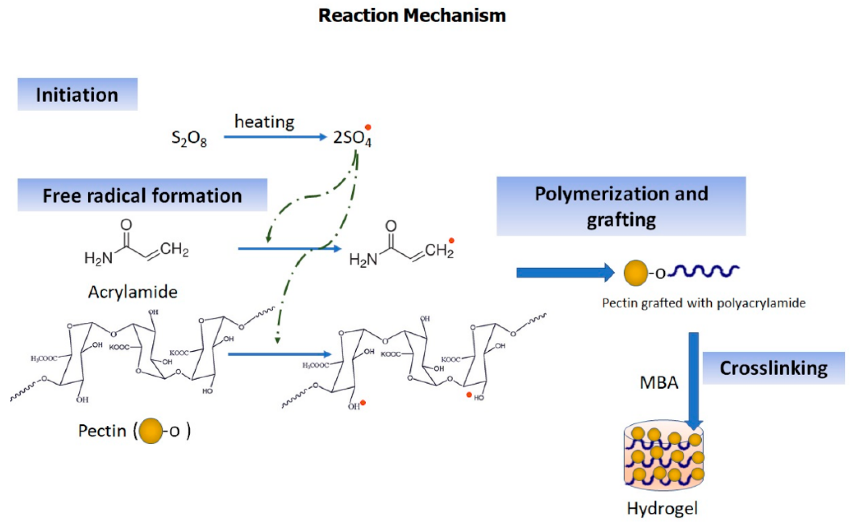 Molecules 26 02704 g001