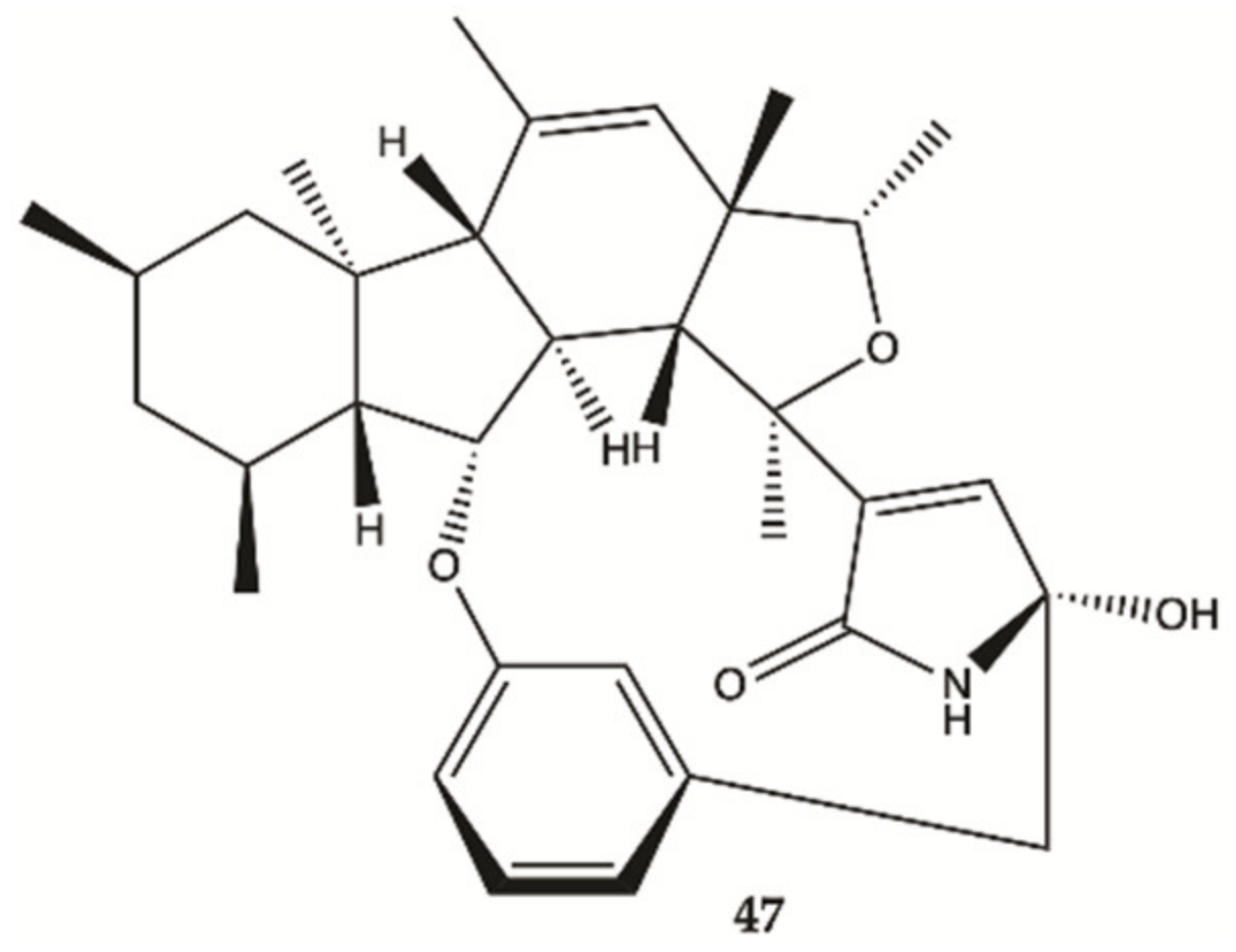 Molecules 26 02707 g017