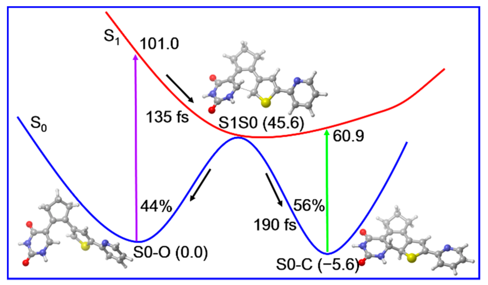 Molecules 26 02724 g009
