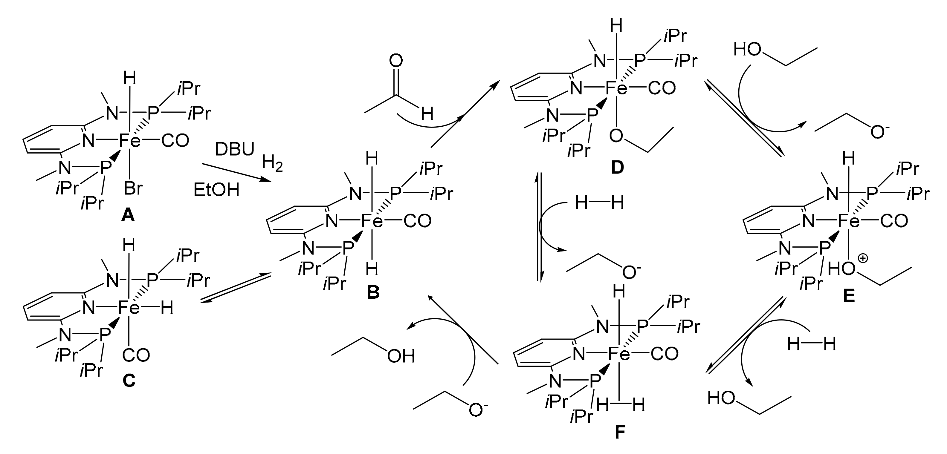 Molecules 26 02728 g016
