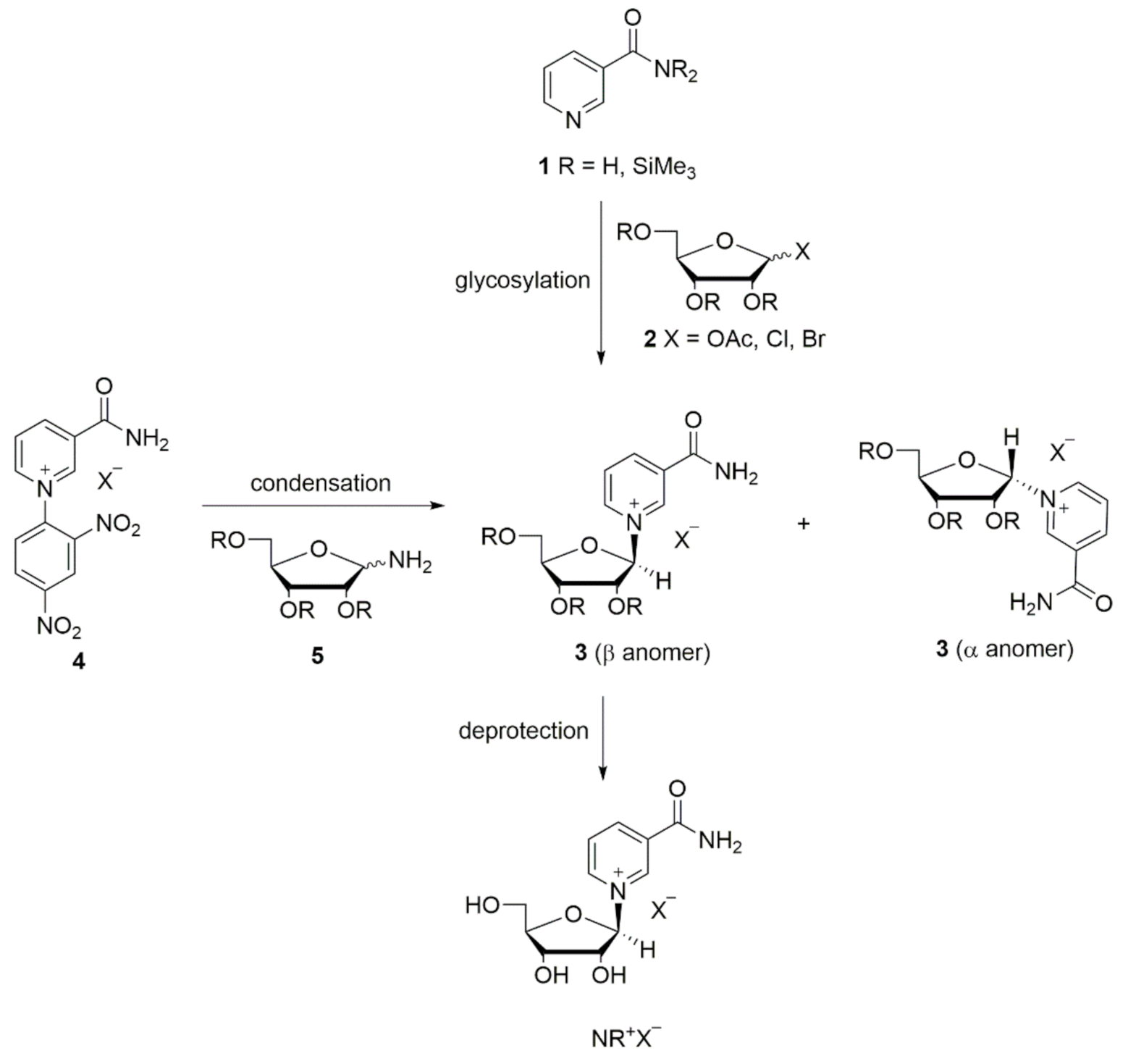 Molecules 26 02729 sch001