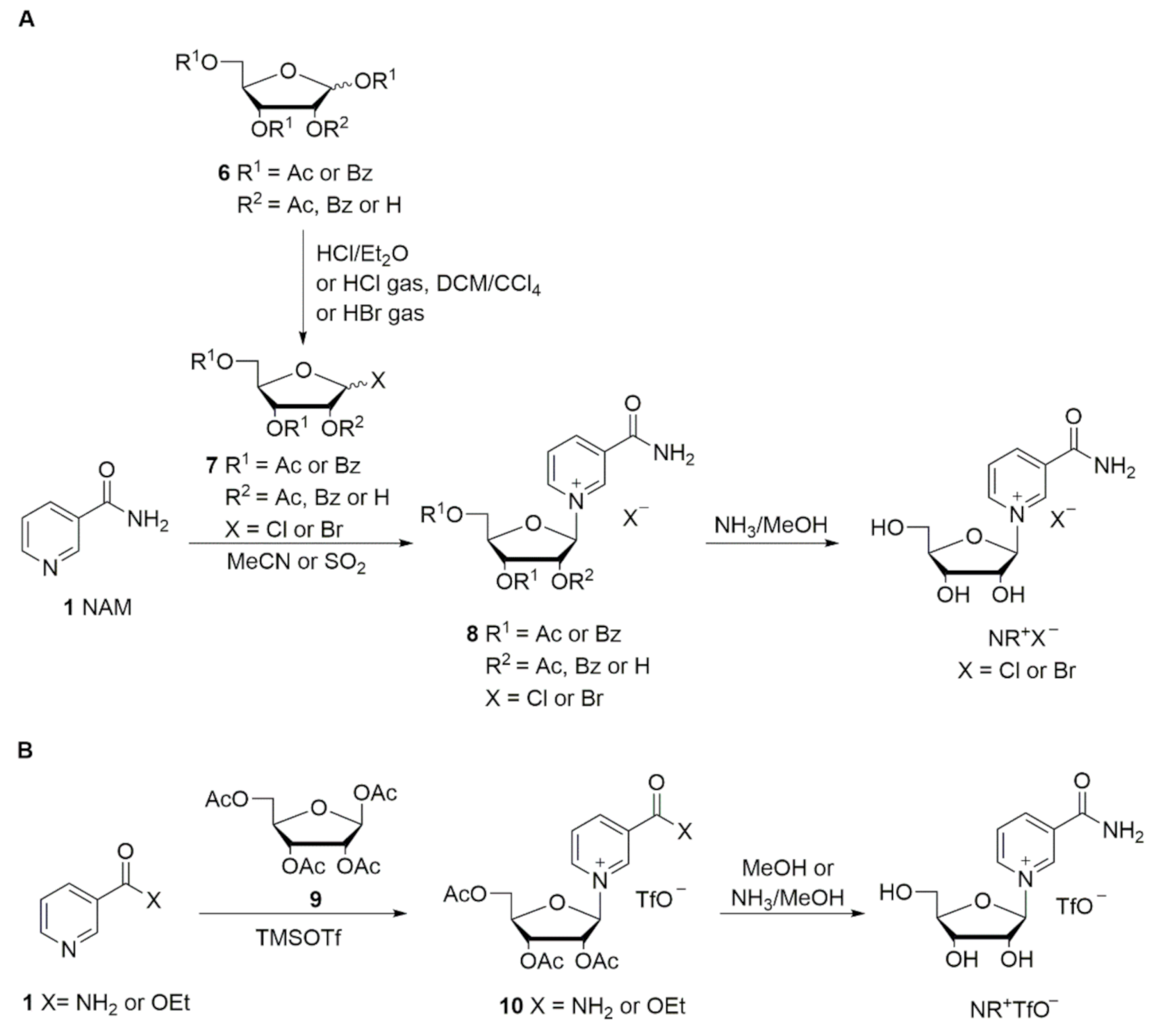 Molecules 26 02729 sch002