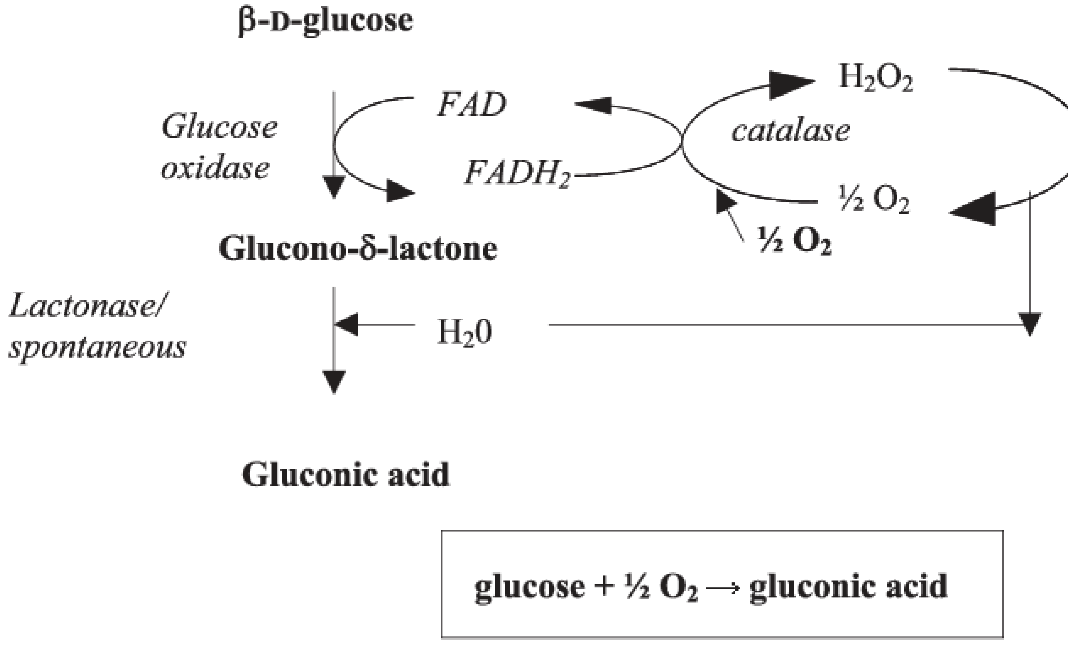 Molecules 26 02730 g001
