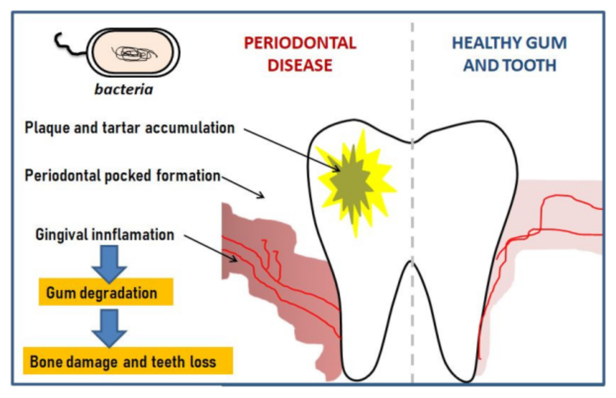 Molecules 26 02735 g001 Molecules 26 02735 g001