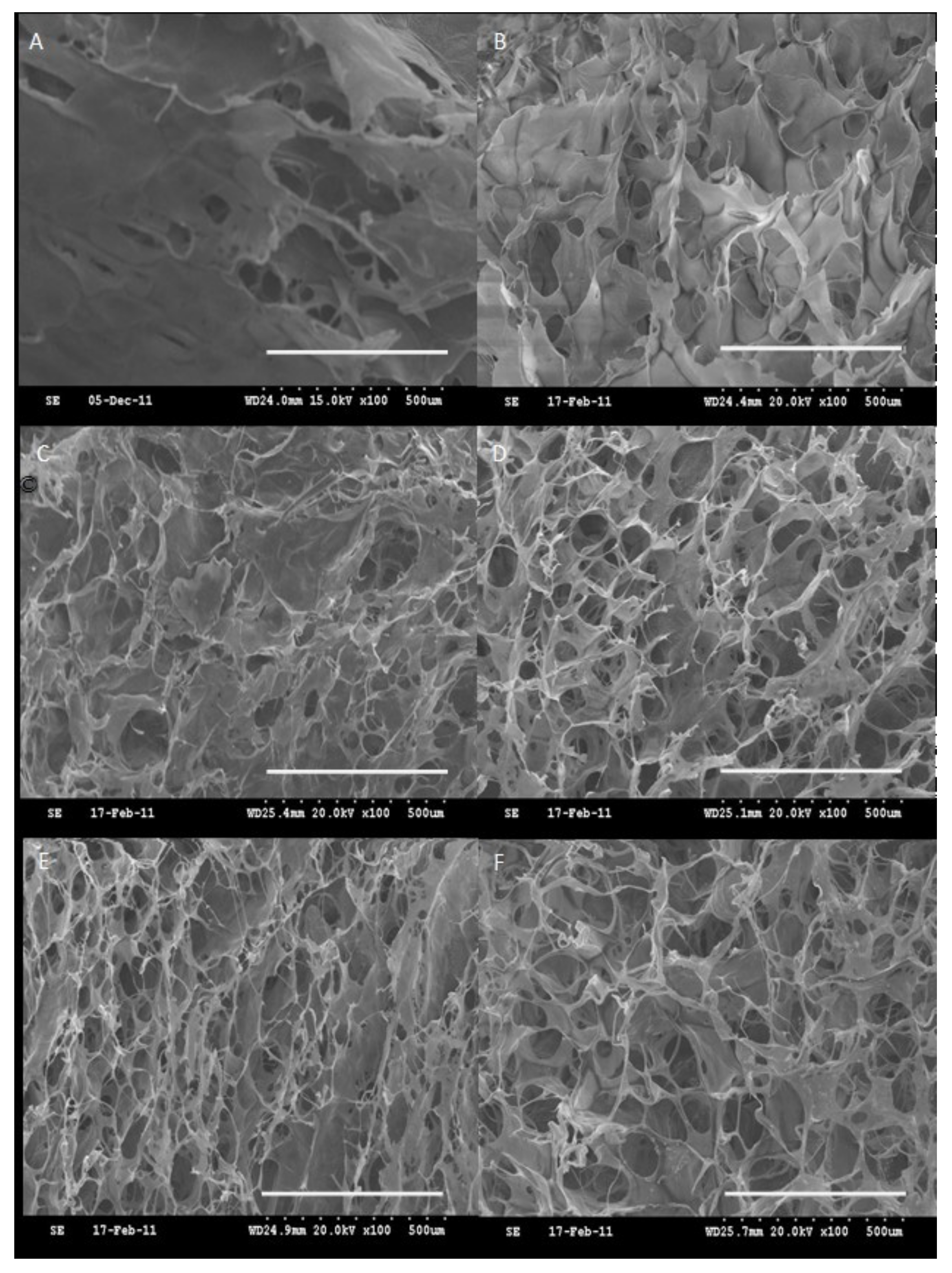Molecules 26 02735 g002 Molecules 26 02735 g002