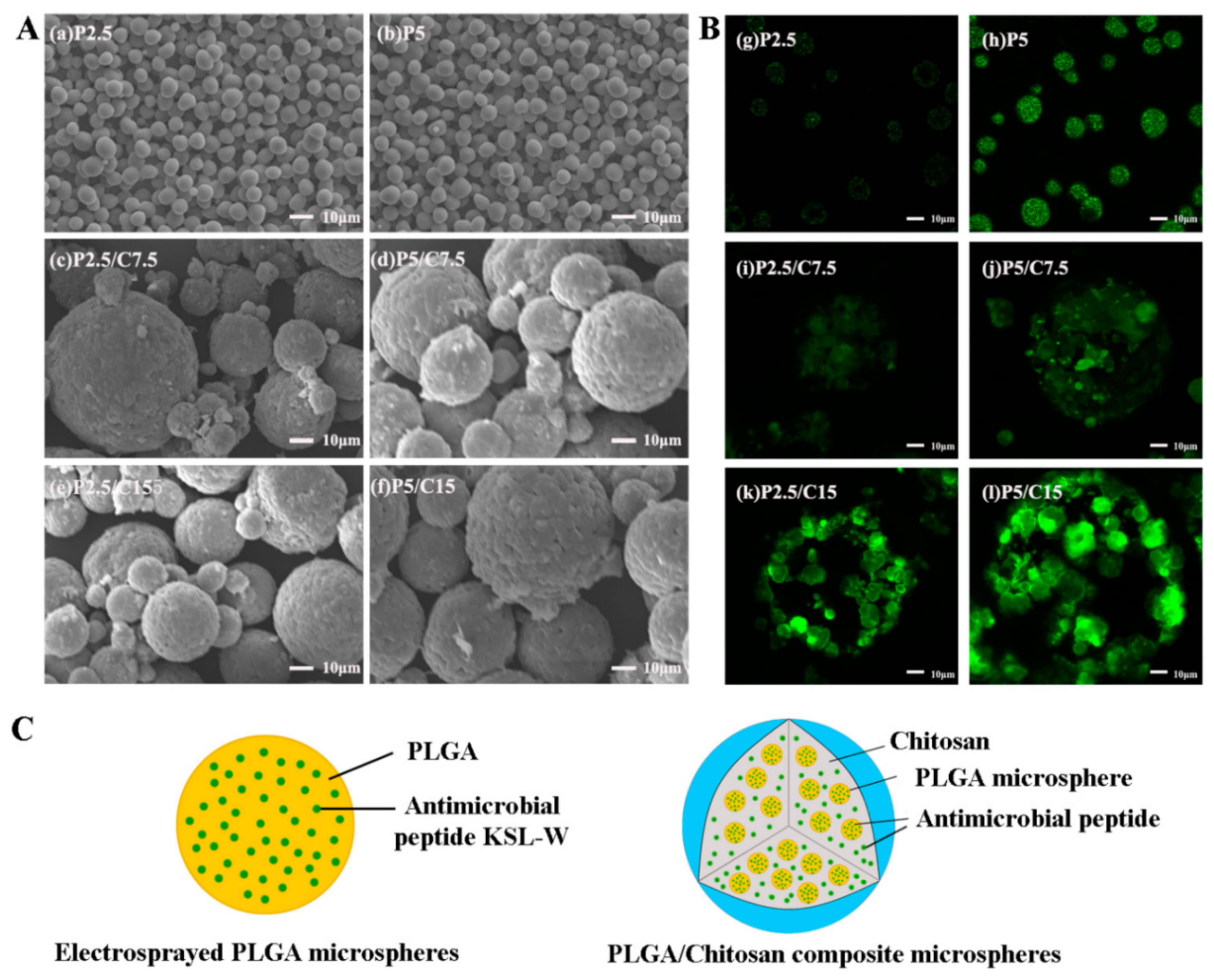 Molecules 26 02735 g004 Molecules 26 02735 g004