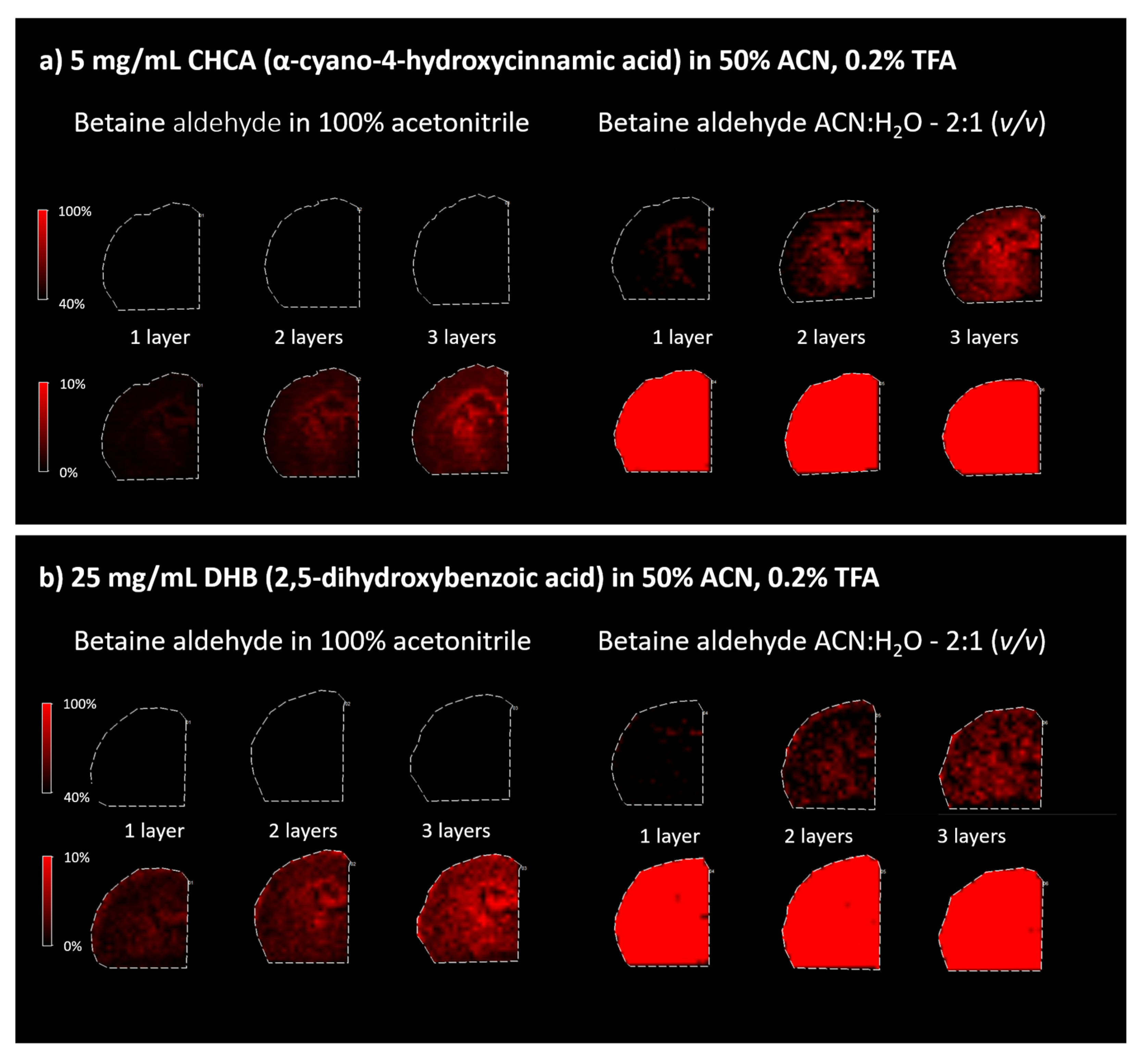 Molecules 26 02737 g003