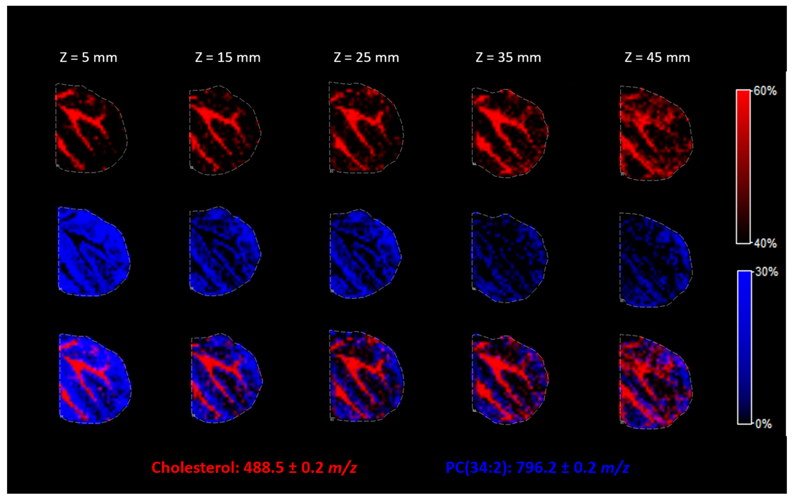 Molecules 26 02737 g006