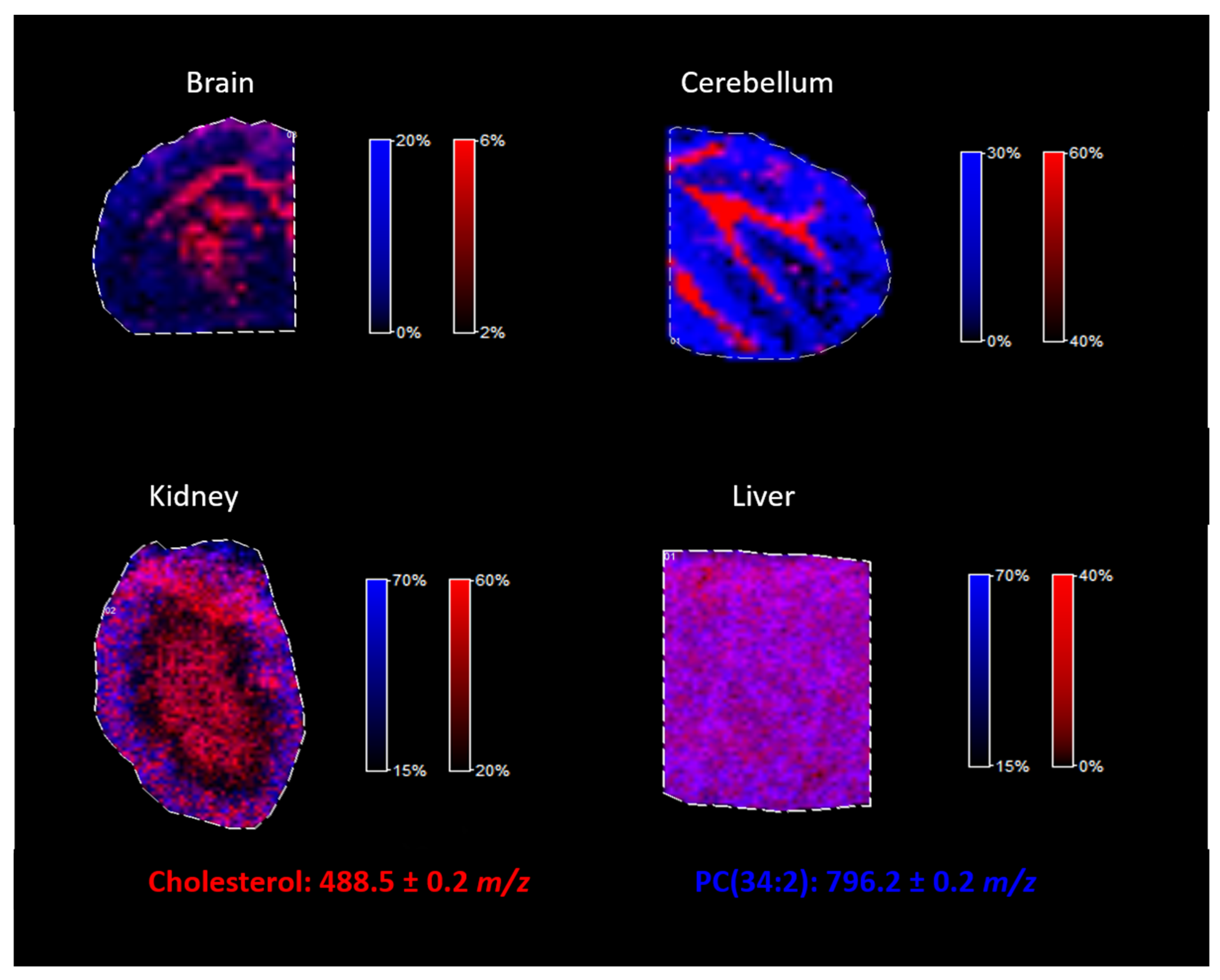 Molecules 26 02737 g008