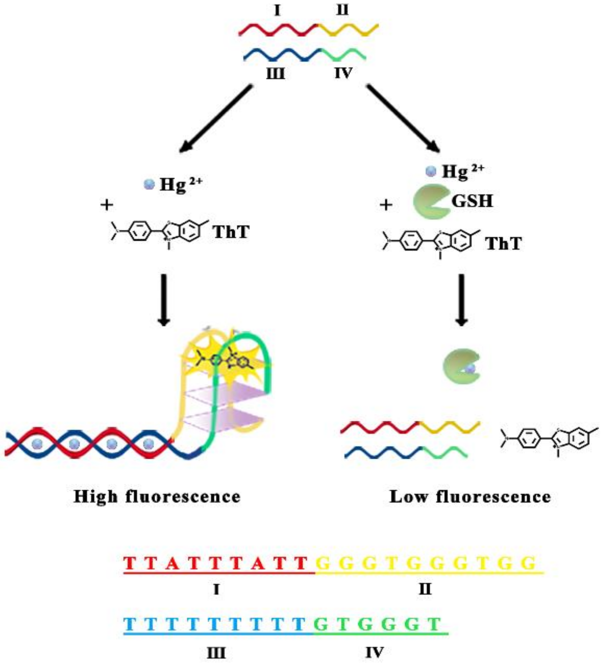 Molecules 26 02743 sch001