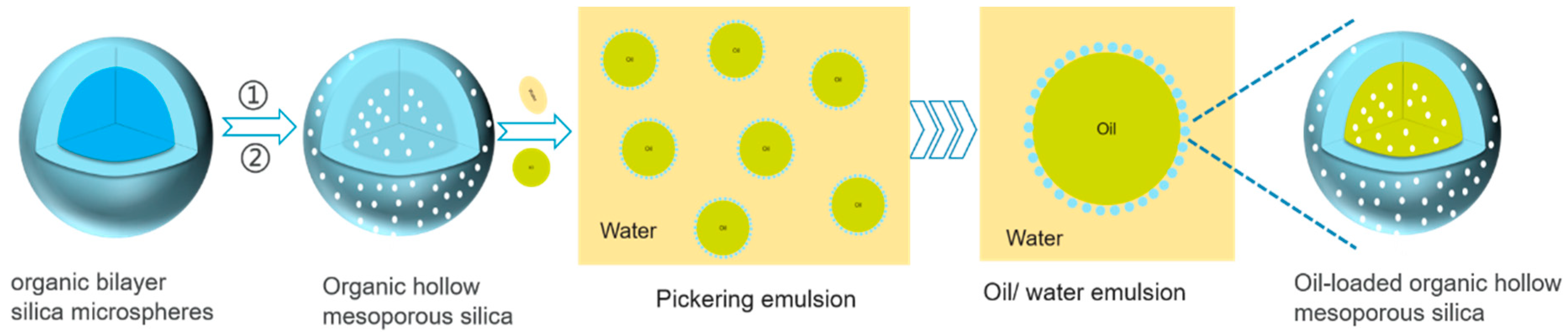 Molecules 26 02744 sch001