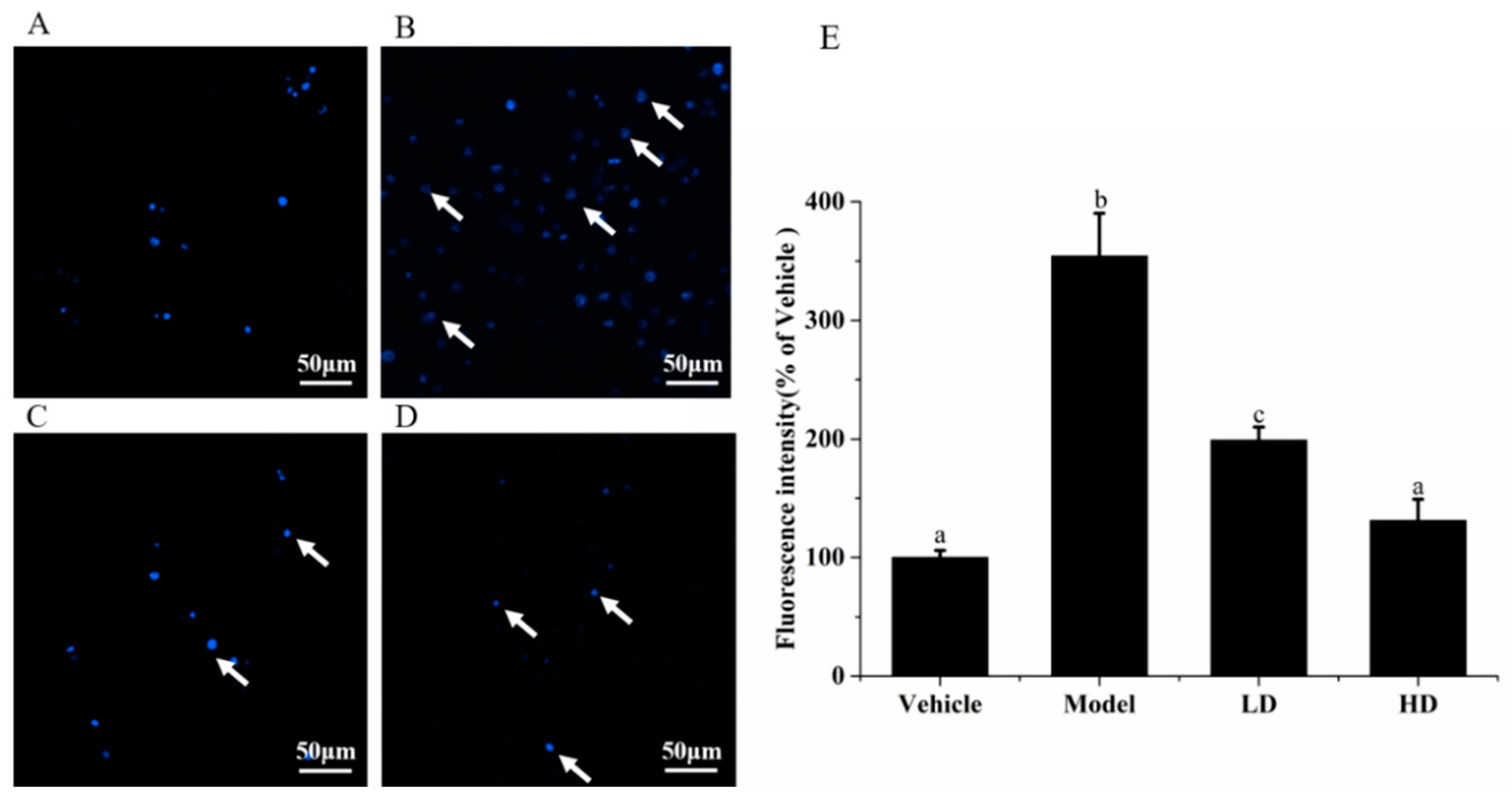 Molecules 26 02745 g003 Molecules 26 02745 g003