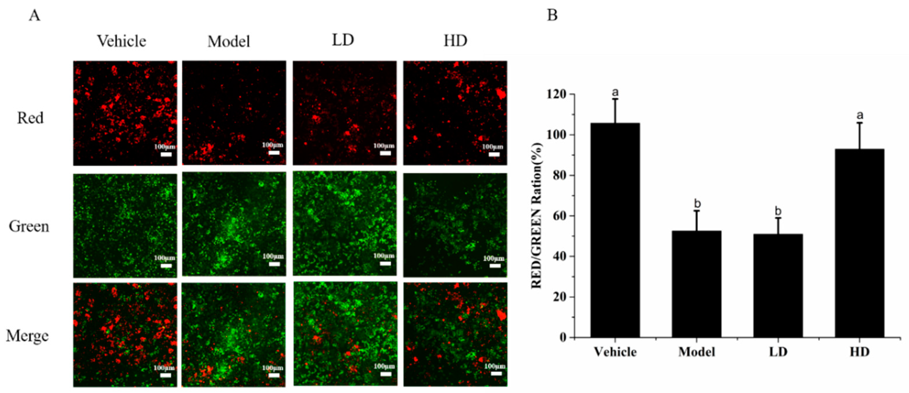 Molecules 26 02745 g004 Molecules 26 02745 g004
