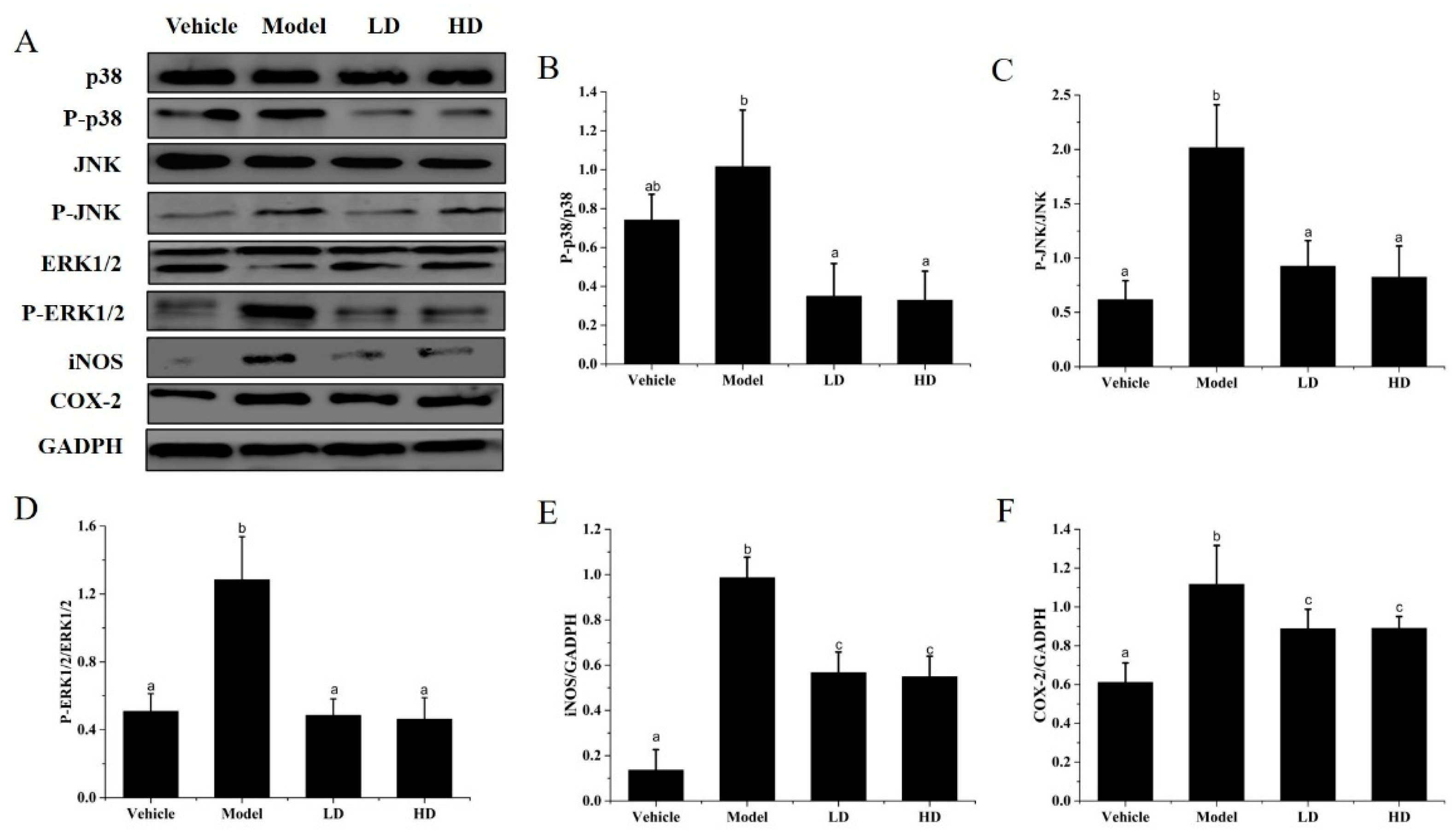 Molecules 26 02745 g006 Molecules 26 02745 g006