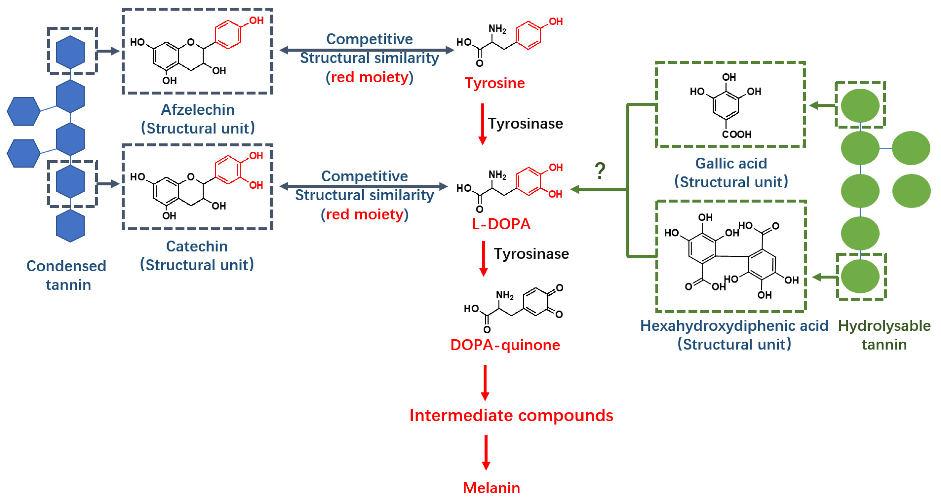 Molecules 26 02747 g001 Molecules 26 02747 g001
