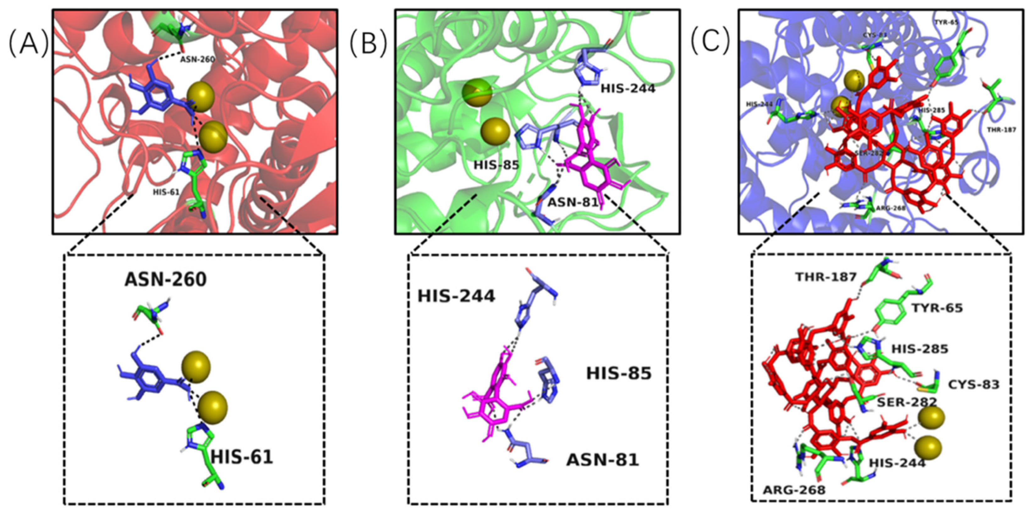 Molecules 26 02747 g007 Molecules 26 02747 g007