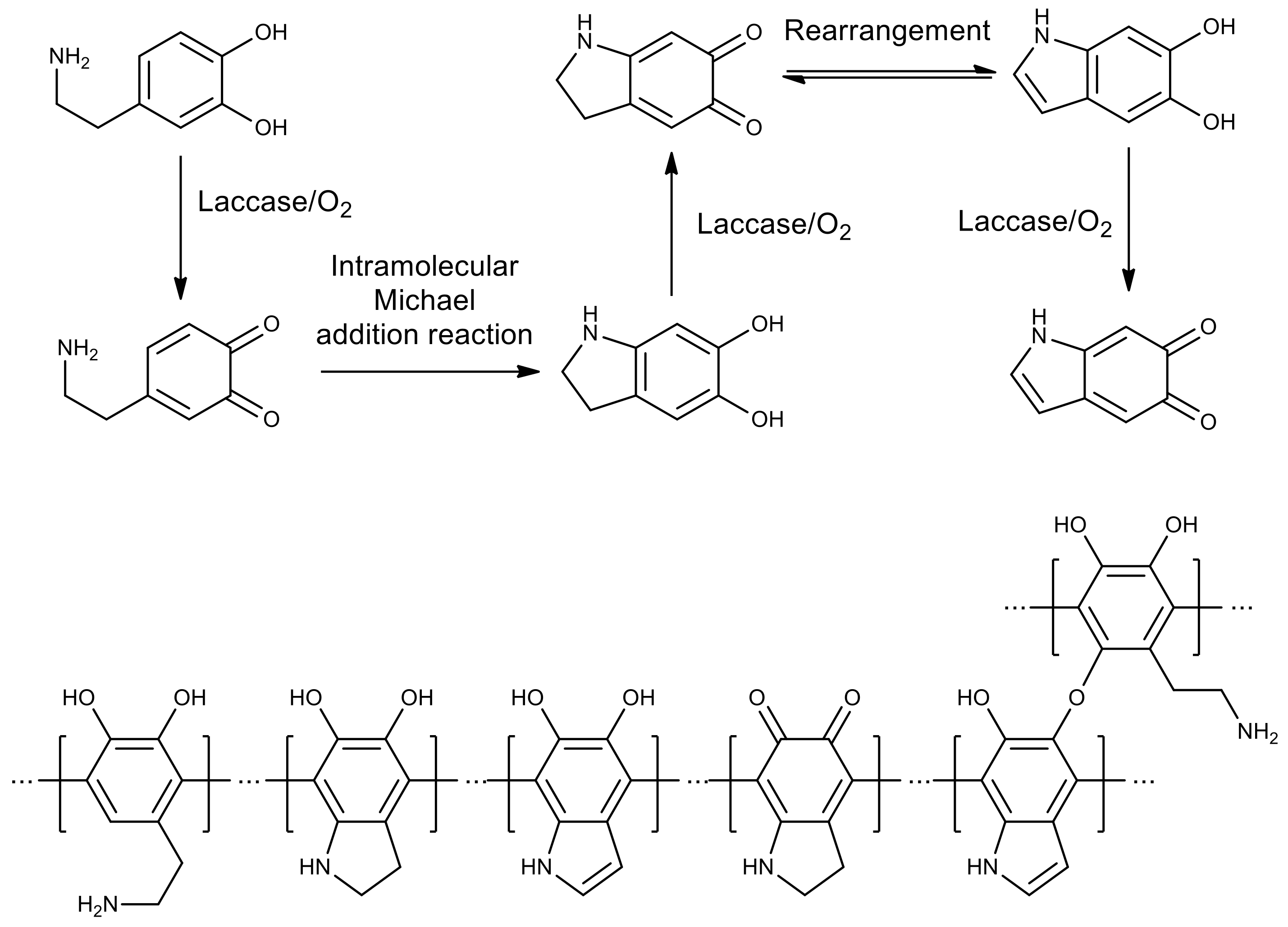 Molecules 26 02750 g002