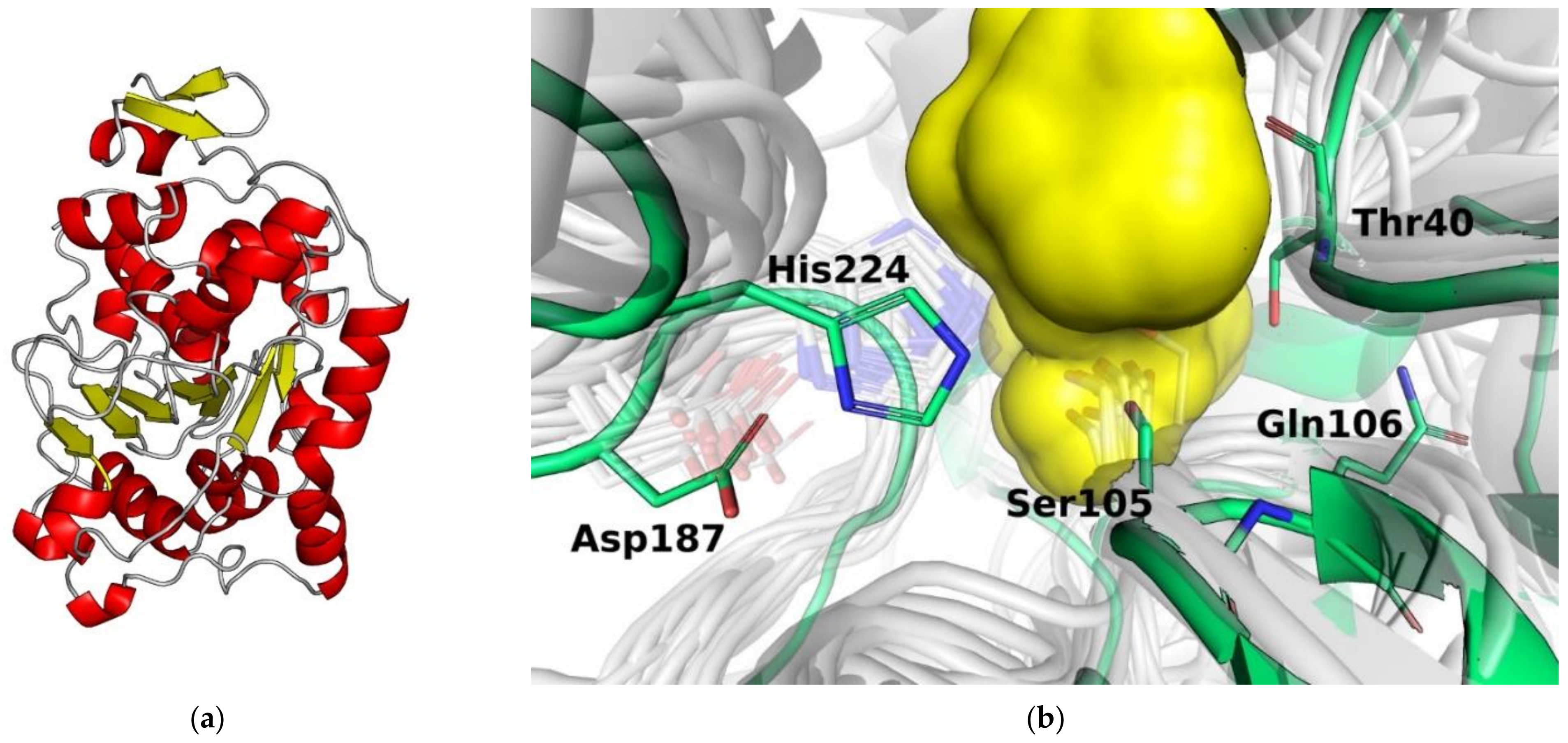 Molecules 26 02750 g006